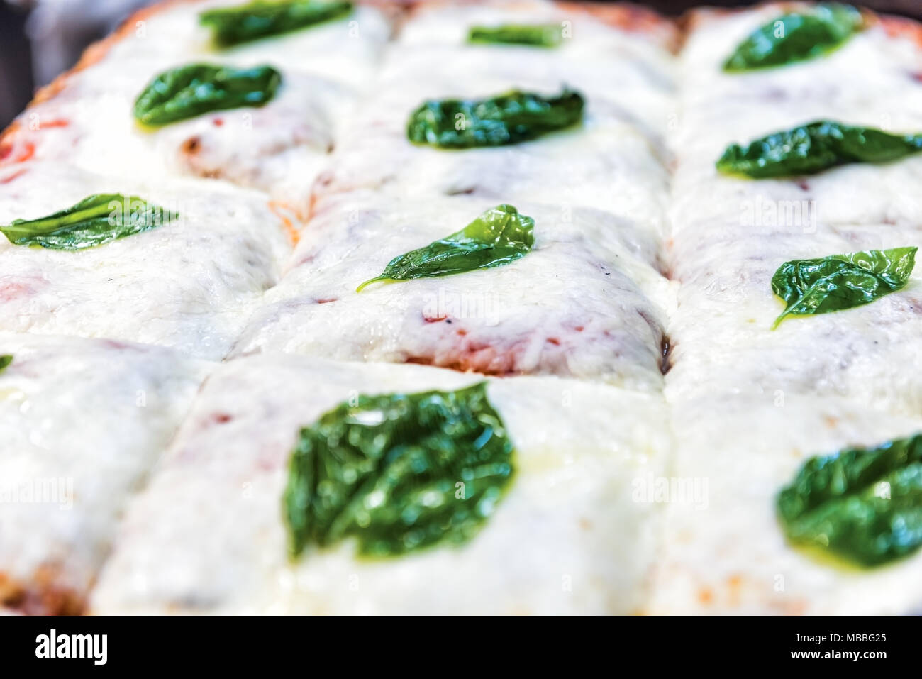 Macro closeup di mozzarella foccacia pane con il verde del basilico in foglie, formaggio fuso pizza dopo la cottura, golden crosta marrone Foto Stock