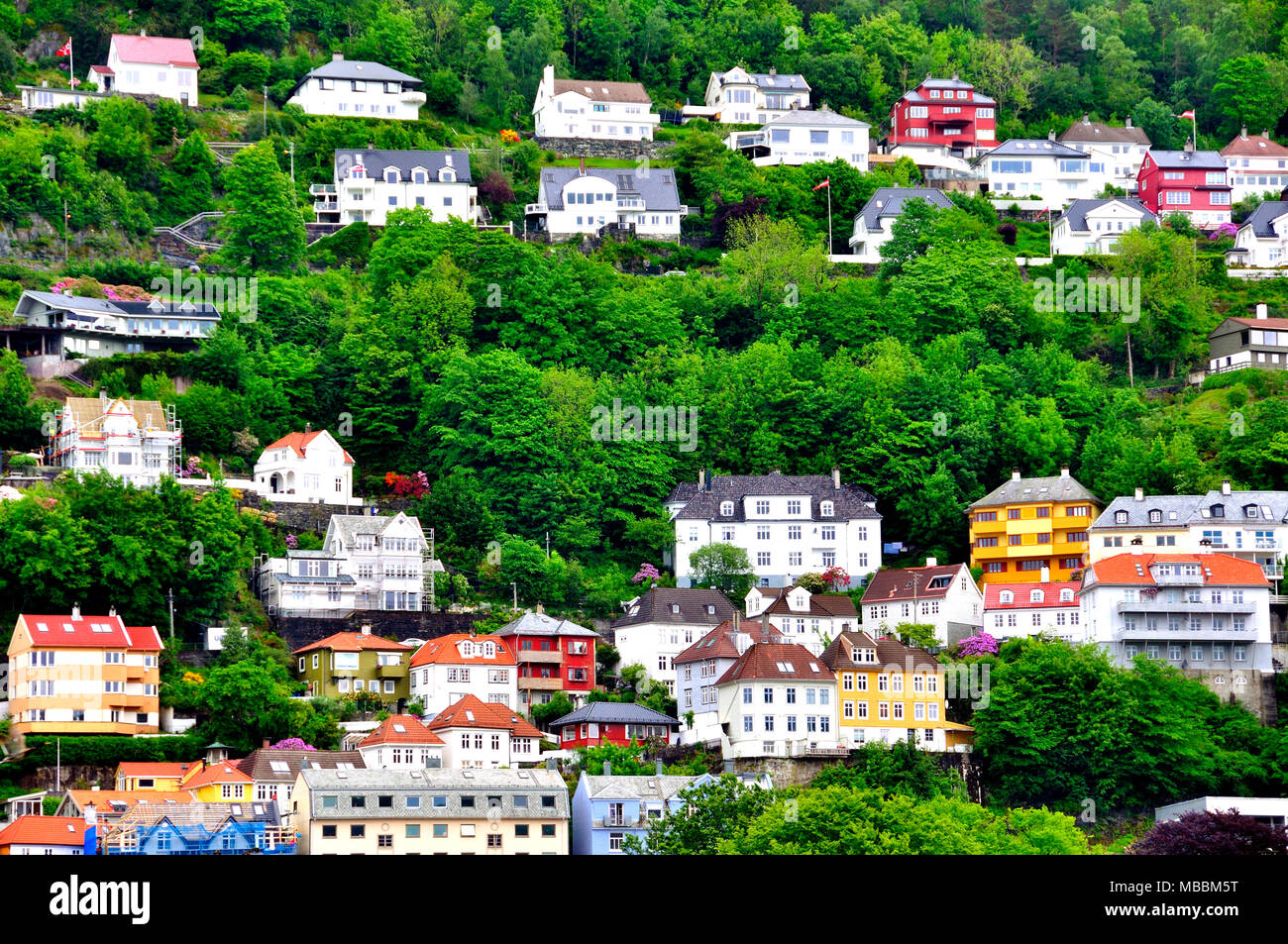 Alloggiamenti tra gli alberi in bergen Norwegian Foto Stock