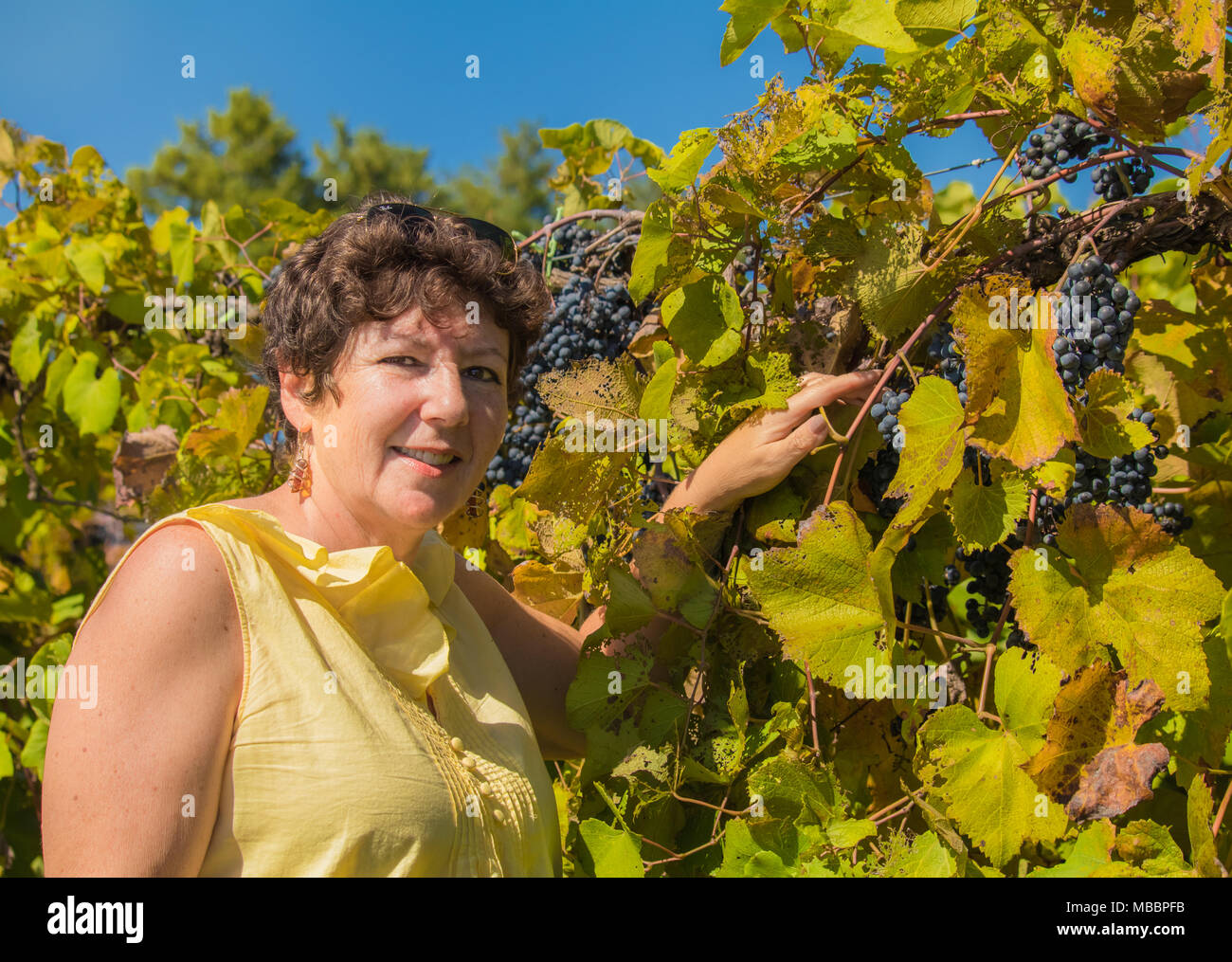 Donna matura in una camicetta giallo in piedi in un vigneto, sorridente, Missouri, Midwest Foto Stock