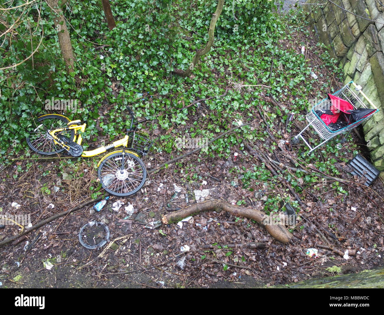 Un scartato Ofo giallo noleggio bike unisce un abbandonato carrello della spesa sulle rive del fiume Rivelin, Sheffield, Regno Unito Foto Stock