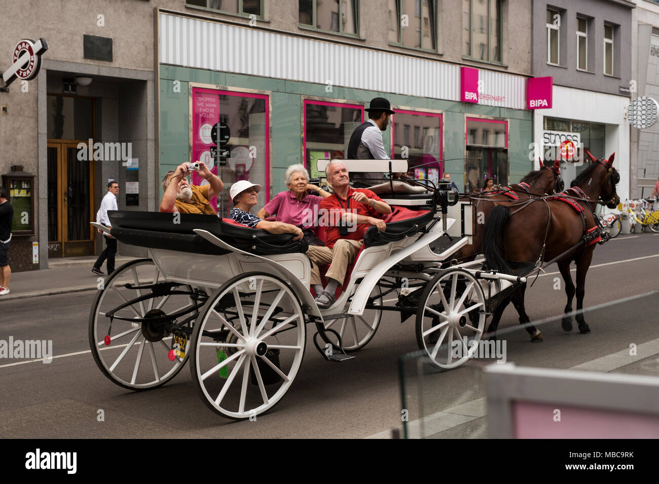 Una carrozza trainata da cavalli porta i turisti in giro per le strade di Vienna, Austria. Foto Stock