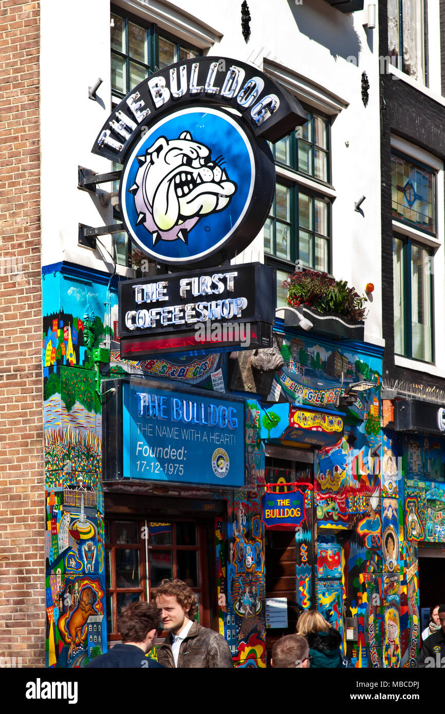 Il primo il caffè Bulldog nella città di Amsterdam a luci rosse street, Olanda Foto Stock