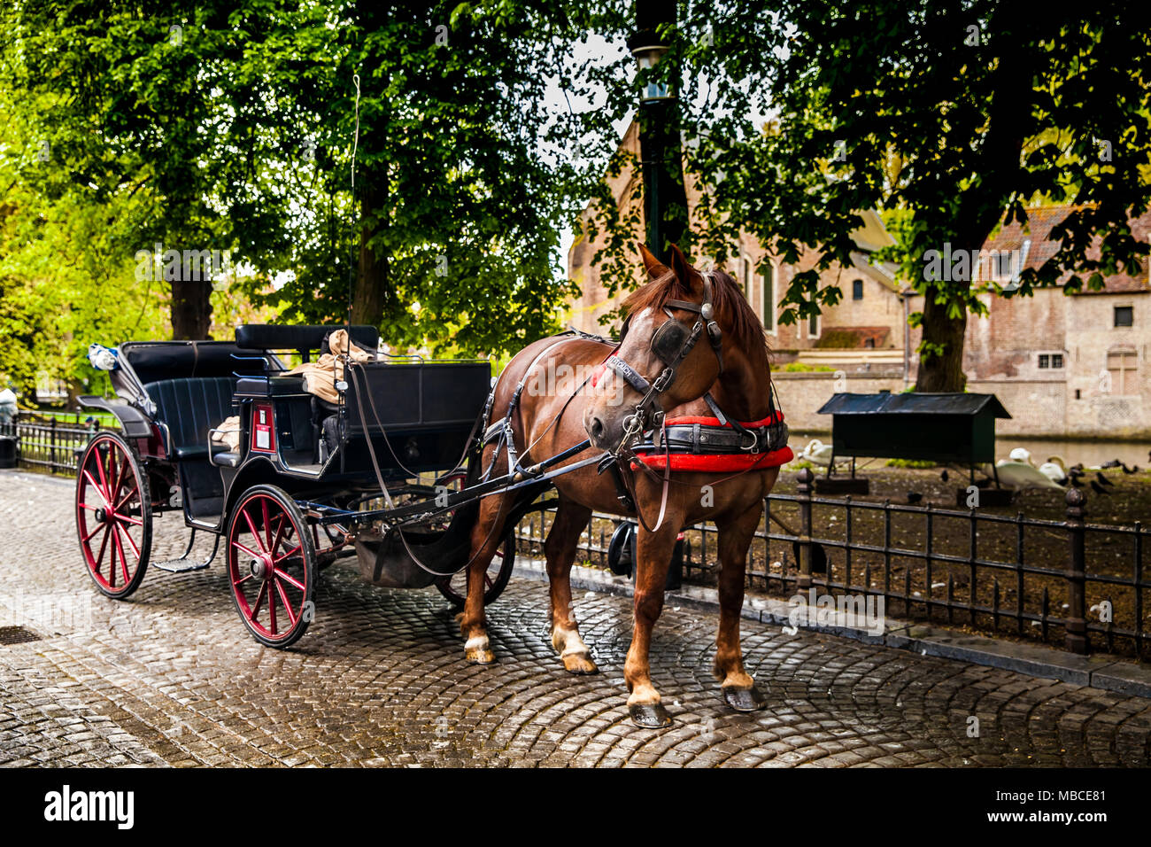 Carrozza a cavalli Foto Stock