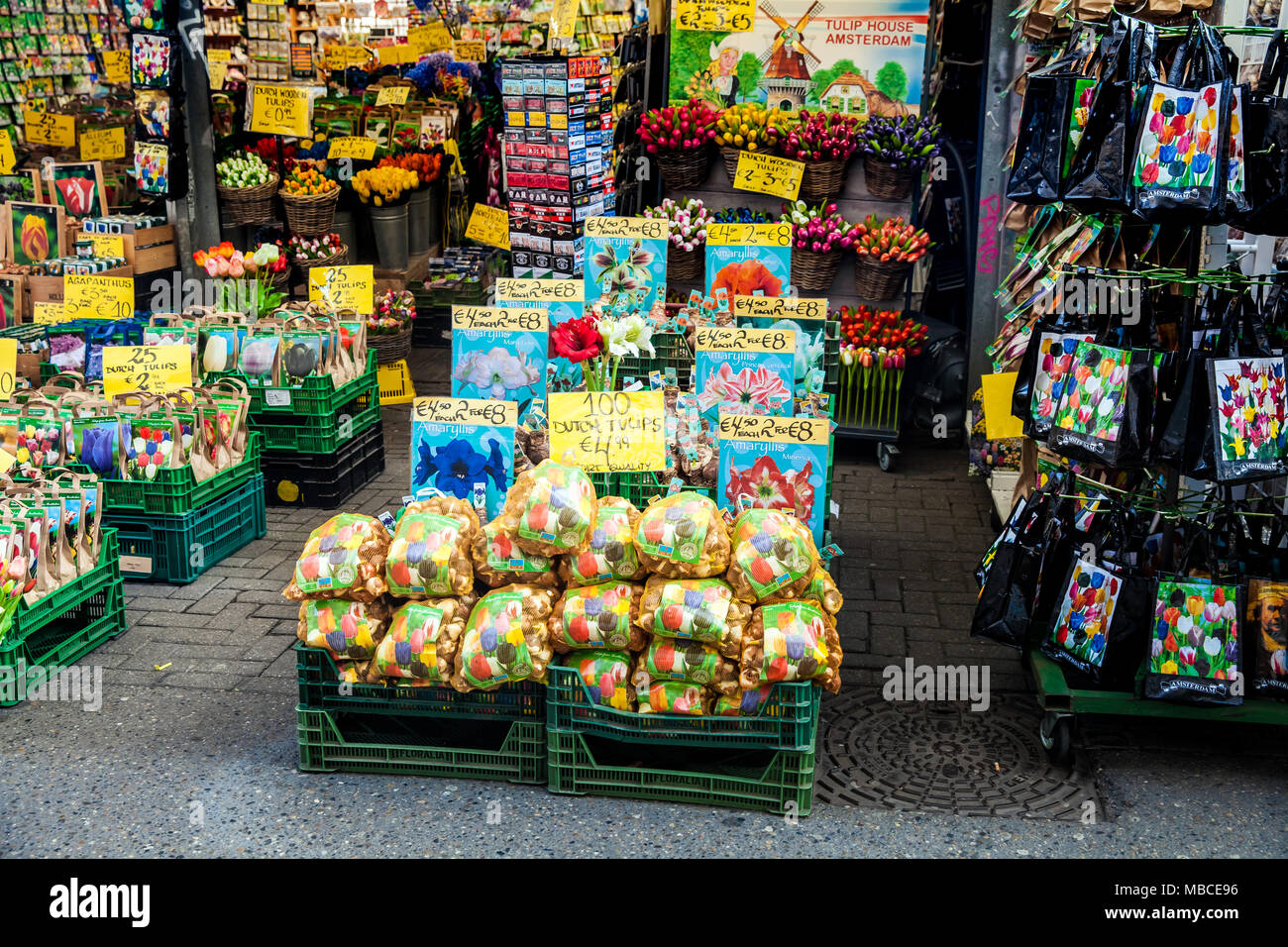 Il mercato dei fiori di Amsterdam city, Paesi Bassi Foto Stock