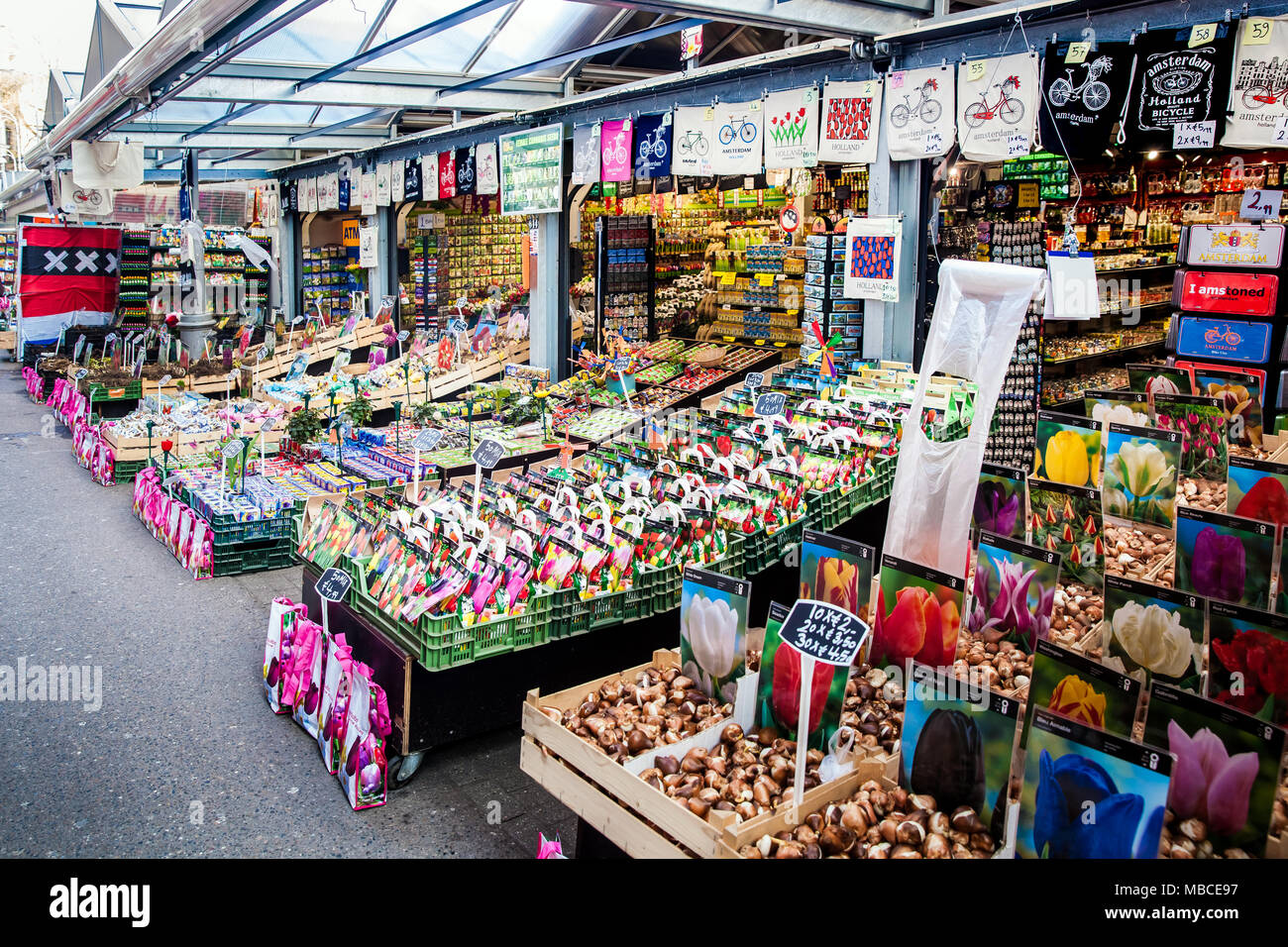 Il mercato dei fiori di Amsterdam city, Paesi Bassi Foto Stock