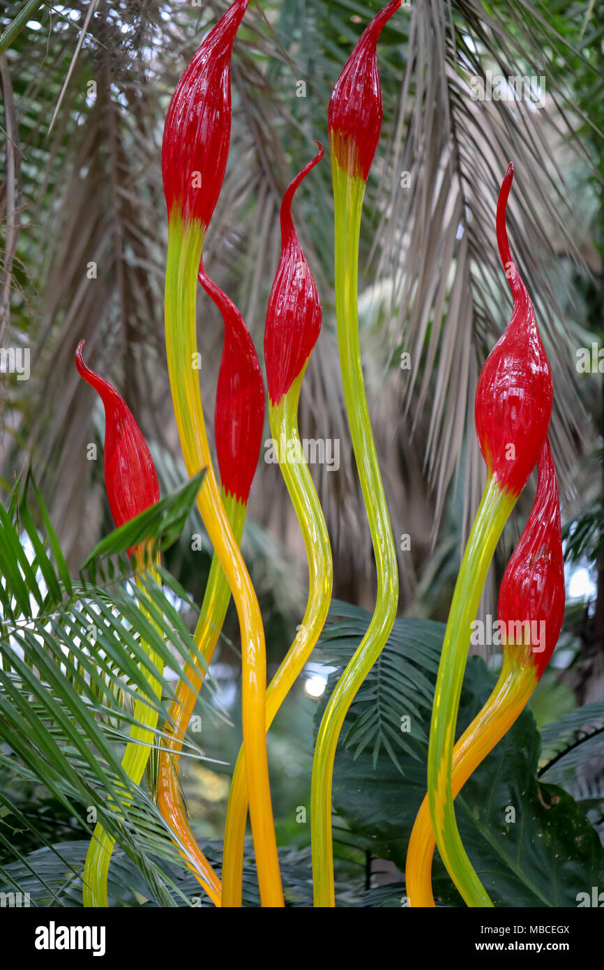 Fantastica rosso e giallo sculture in vetro di Dale Chihuly. Foto Stock