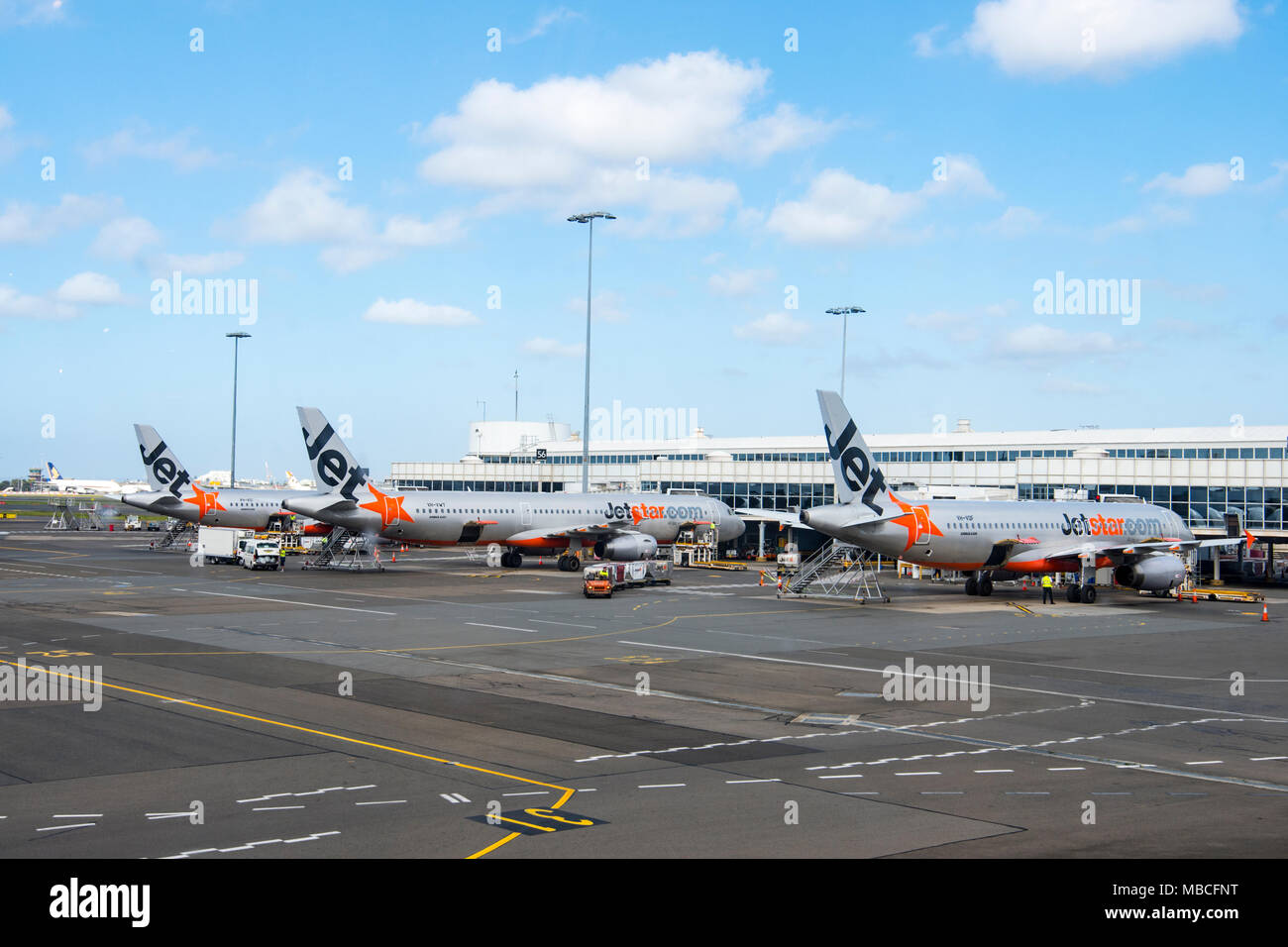 Jetstar flotta di aeromobili Airbus A320 all'aeroporto di Sydney, terminale domestico, Australia Foto Stock