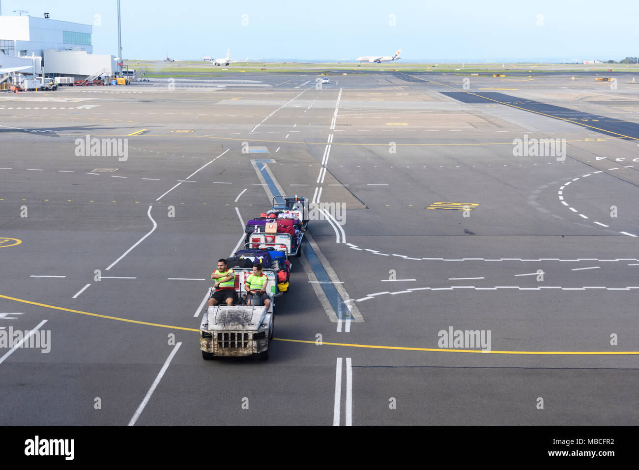 Il personale di terra di bagaglio di guida dei carrelli di movimentazione su asfalto all'Aeroporto di Sydney, Australia Foto Stock