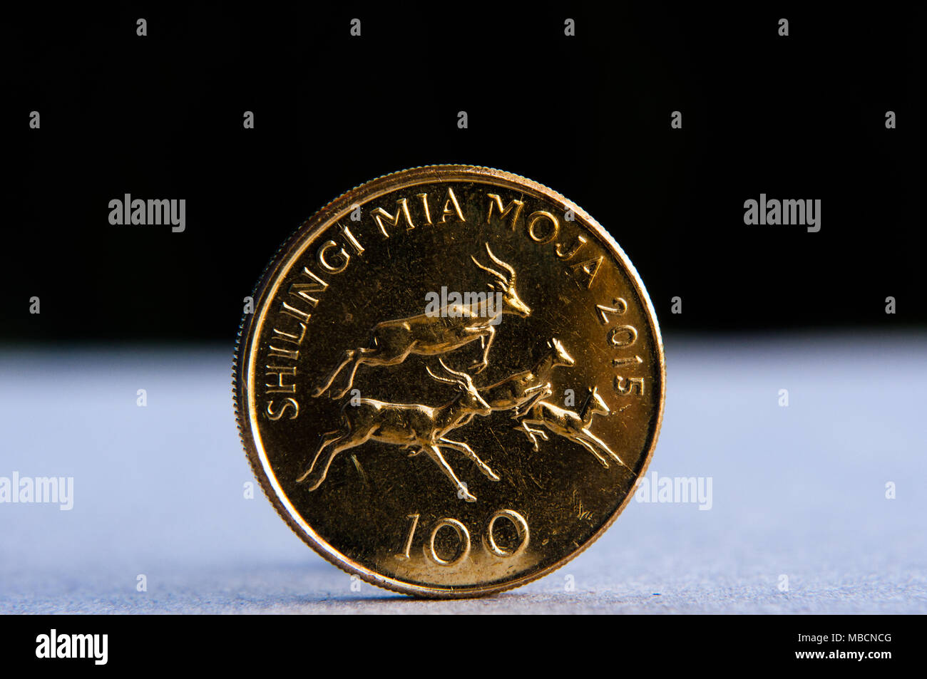 100 scellino Tanzania scellino, monete raffiguranti saltando impala in semi studio impostazione, Dar es Salaam, Tanzania Foto Stock