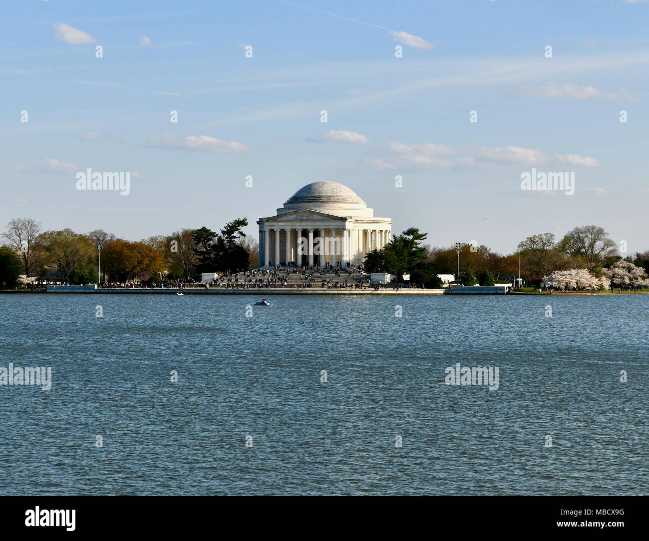 Jefferson Memorial vicino al bacino di marea durante il picco di fioritura dei fiori di ciliegio in Washington DC Foto Stock