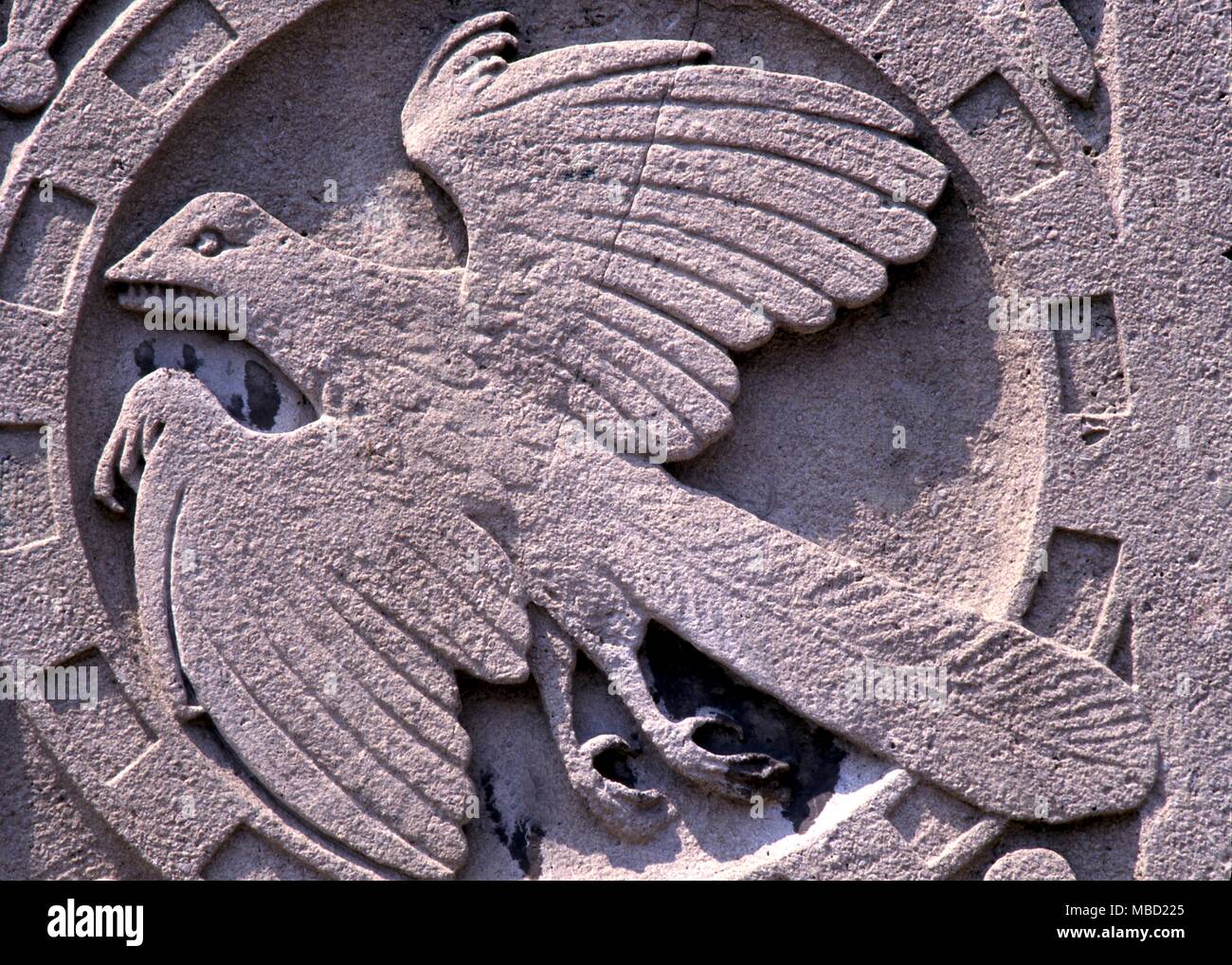 Bassorilievo del Archaeopterix. Sculptureon in pietra della facciata del Royal Ontario Museum di Toronto. In Canada. Foto Stock