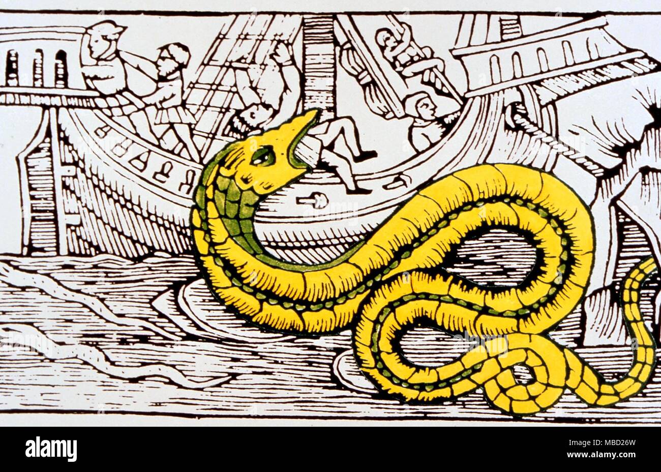 Mostri - Il mostro marino, dopo un secolo XVI xilografia Foto Stock