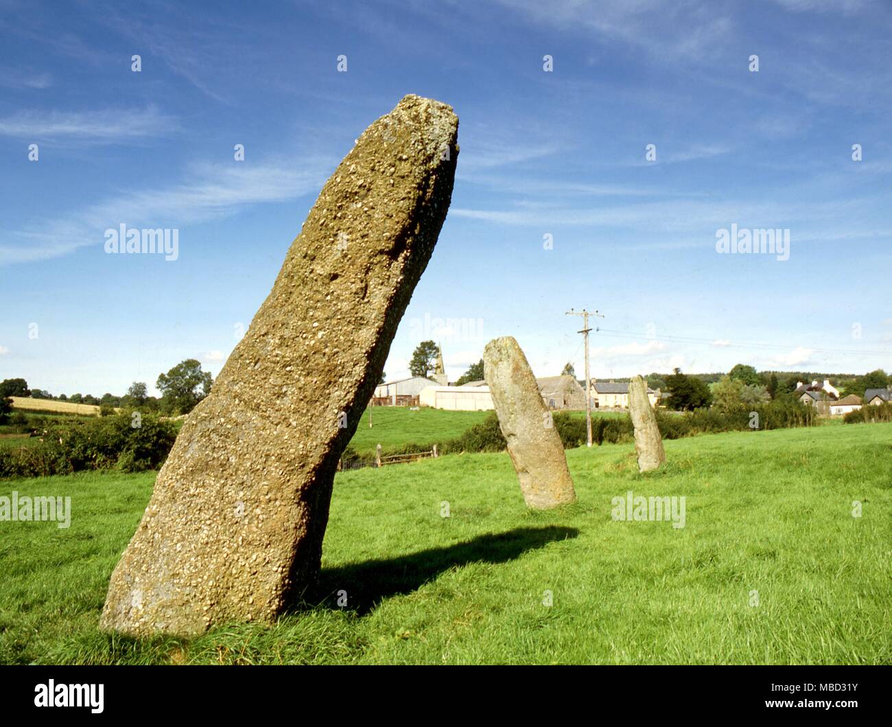 La Harold di pietre a Trellech - un allineamento preistorici di menhir. Foto Stock