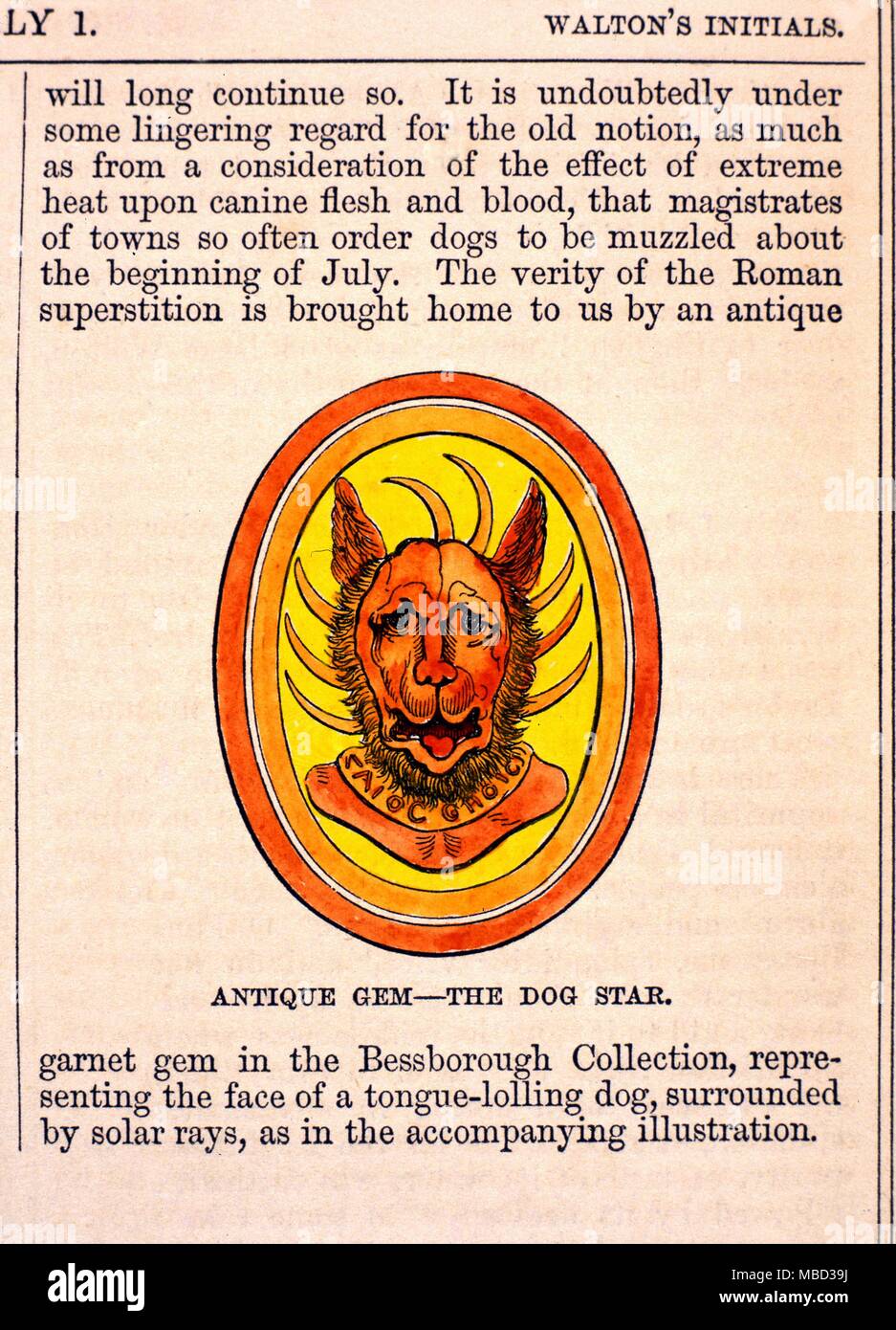 Le superstizioni - Dog Days incisione di un antico tesoro granato di origine romana che rappresentano th stella Canicula come una linguetta-che si stravacca cane, la sua testa circondata dai raggi solari. Legato con la superstizione di metà luglio Dog Days. Foto Stock