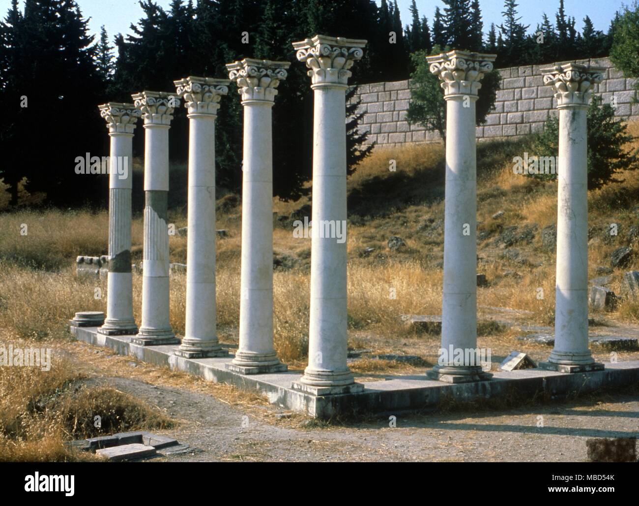 Medicina greca. Il Asklepeion, forse il più antico ospedale sopravvissuto, sull'isola di Cos in Grecia. Ippocrate era un medico qui e il sonno di guarigione e la medicina di erbe erano praticati . Foto Stock