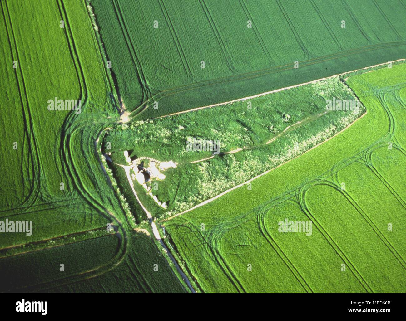 Vista aerea del Long Barrow mound grave a West Kennet, uno dei più grandi tumuli lunghi in Gran Bretagna - 330 piedi di lunghezza e 8 metri di altezza. Trova e resti scheletrici in Devizes museo. Datato a circa 3000 BC Foto Stock