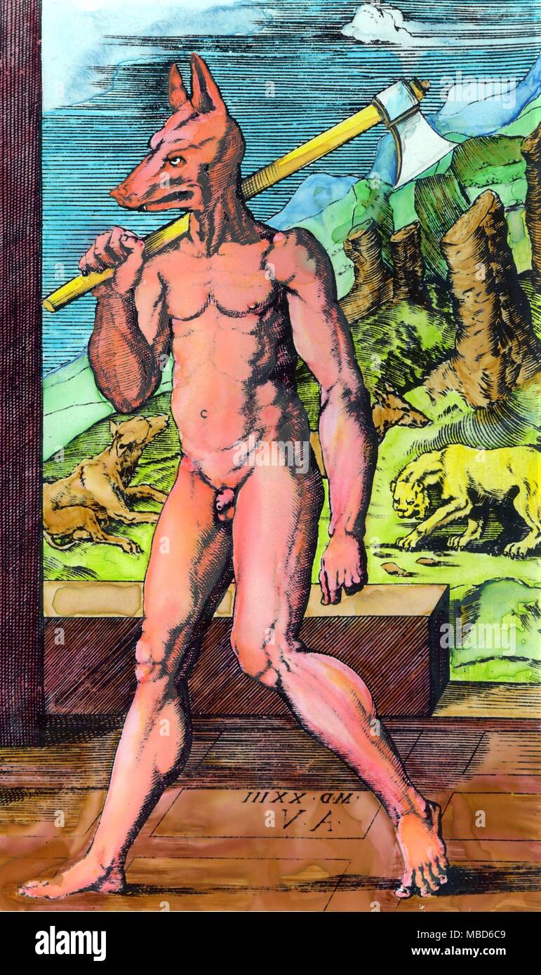 Mostri - LYCAON trasformato colorate a mano Incisione di Agostino de' Musi, raffigurante la trasformata re di Arcadia, Lycaon, cambiato in Wolf-forma perché ha insultato dio Zeus offrendogli un pasto a base di carne umana Foto Stock