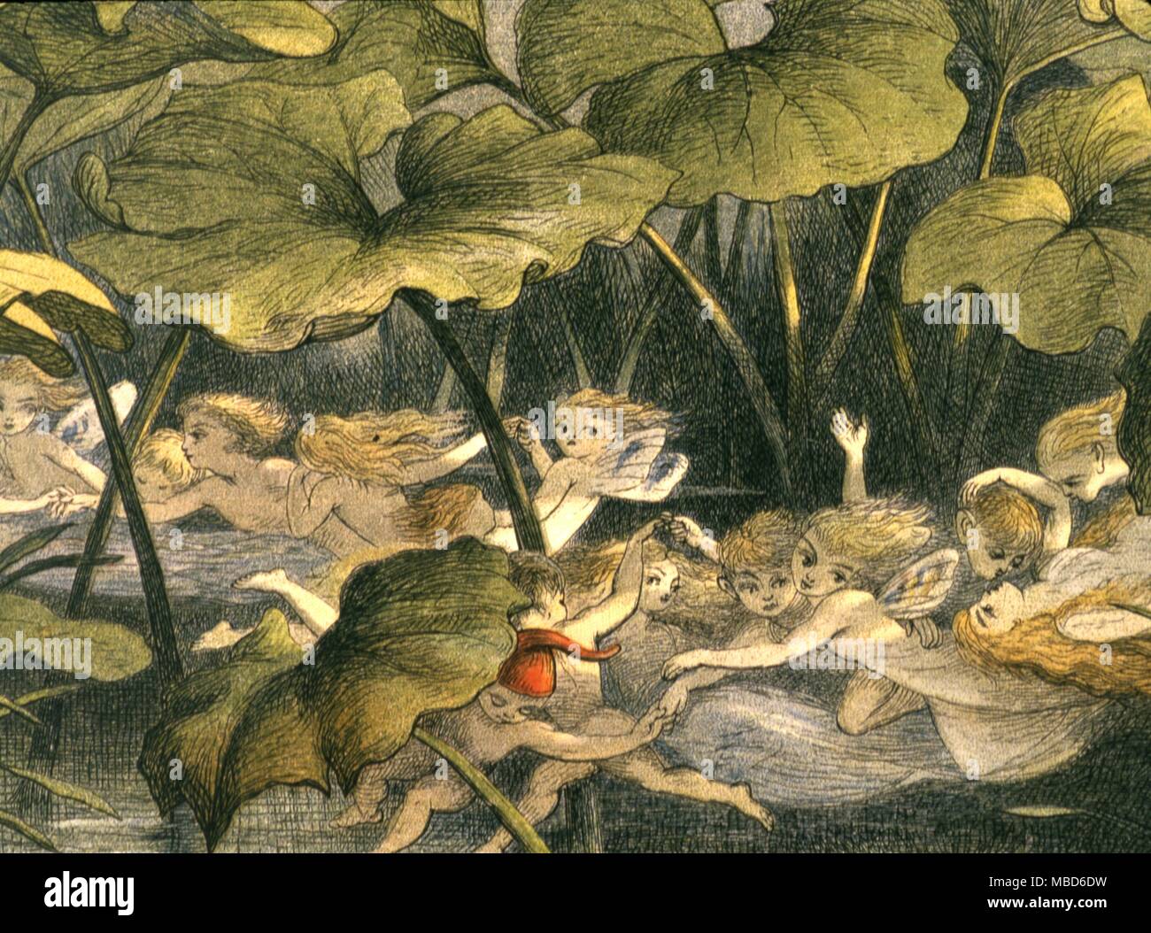 Gli Elfi dei boschi a giocare. Da Richard Doyle In Fairyland - una serie di immagini dalla Elf - World, 1875 Foto Stock