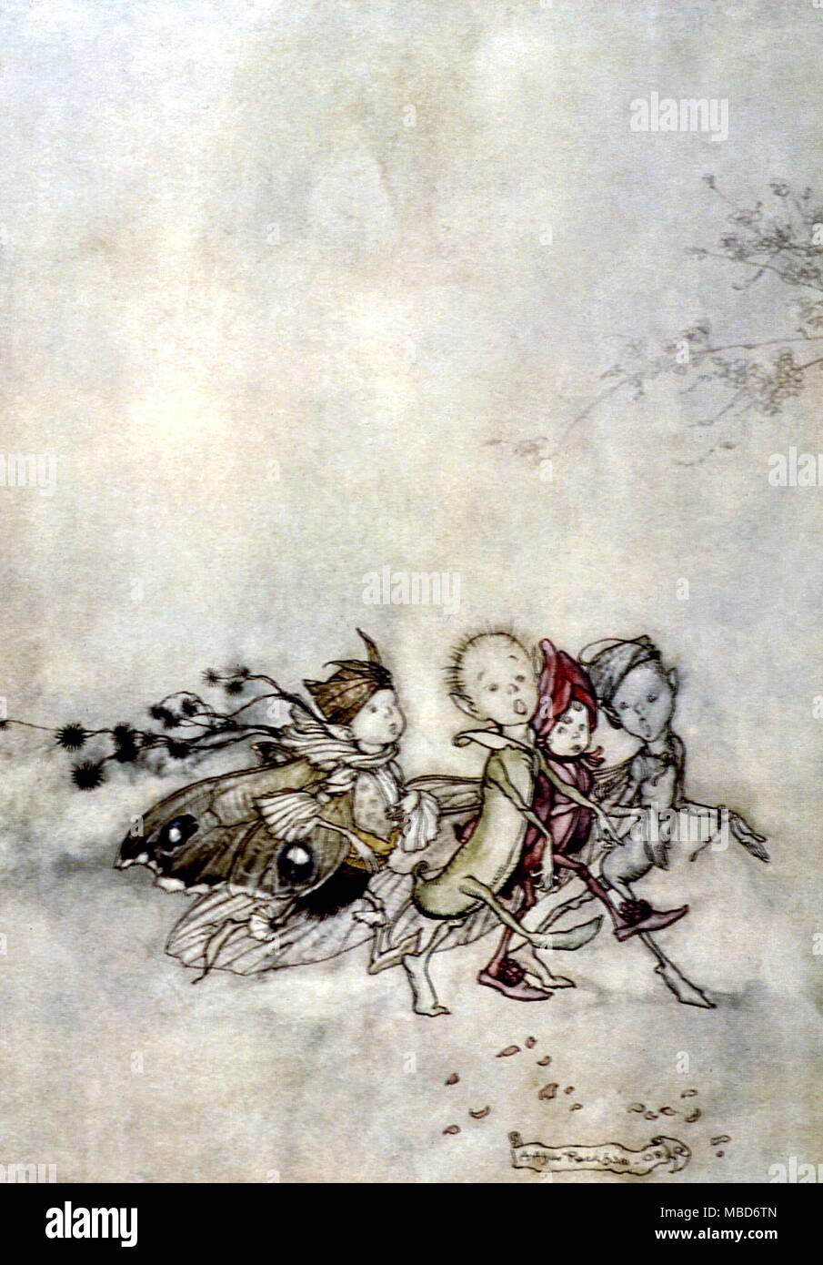 Marcello Parmeggiani - Immettere Peaseblossom, ragnatela, Tignola e Mustardseed. Illustrazione di Arthur Rackham per il 1908 edizione di una notte di mezza estate il sogno di Shakespeare Foto Stock