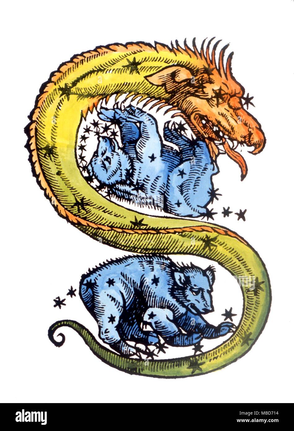 Costellazioni e star maps - immagine di Draco con il grande orso e la minore Orso - tutti circumpolars - da una stampa allentati circa 1510 Foto Stock
