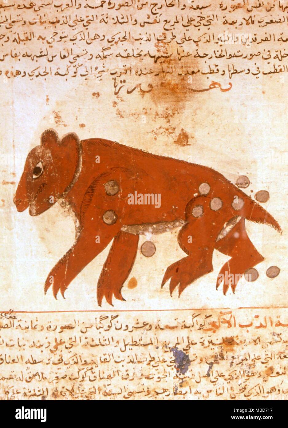 Costellazioni - Immagini della costellazione araba, Dubhe, il grande orso da un manoscritto arabo del XVIII secolo. Nel Dar al Athar al Islammiyah, Kuwait. Foto Stock