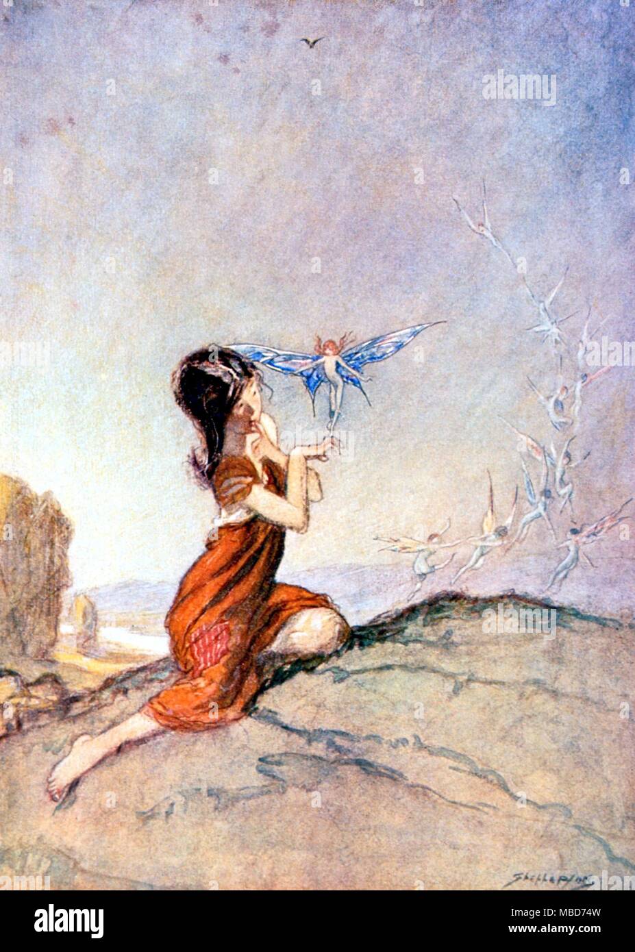 Cottingley Immagini & Cottingley Fotos Stock Alamy Fate Fate Cottingley La piastra di colore illustrazione di Claude A Shepperson