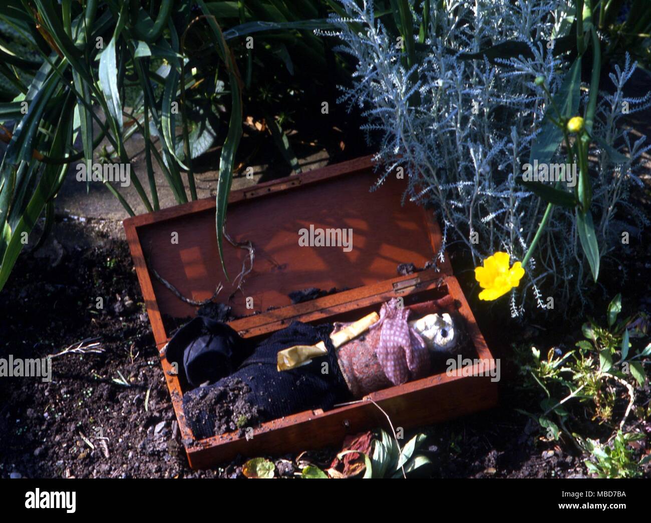 Una strega-fungo, modellato dopo una persona ad essere ammaliati, e sepolto a portare circa la morte della vittima. Foto Stock