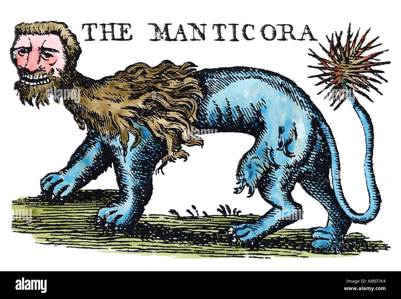 Mostri - MANTICORA l'uomo-guidato, lion corposo, spike-tailed Manticora degli antichi libri di viaggio. Colorate a mano illustrazione dal 1886 edizione di F. E. Hulme's Myth-Land. Foto Stock
