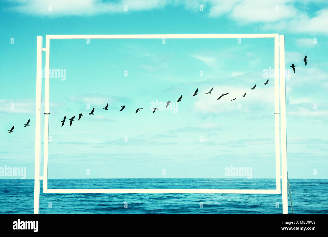 Surreale immagine enigmatica di uccelli in volo e il telaio . spiaggia paesaggio. Foto Stock