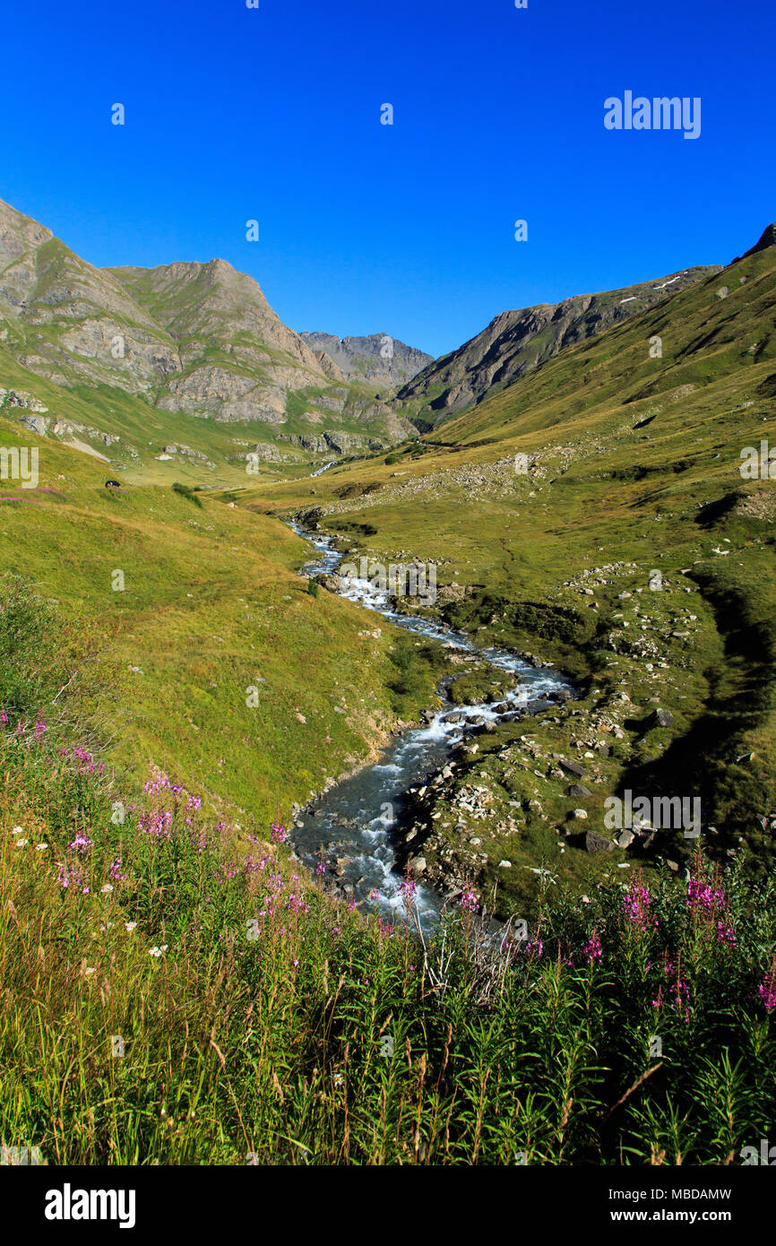 Paesaggio tra il Col de l'Iseran mountain pass e Bonneval-sur-Arc (Savoy, Alpi francesi): Torrente di montagna Foto Stock
