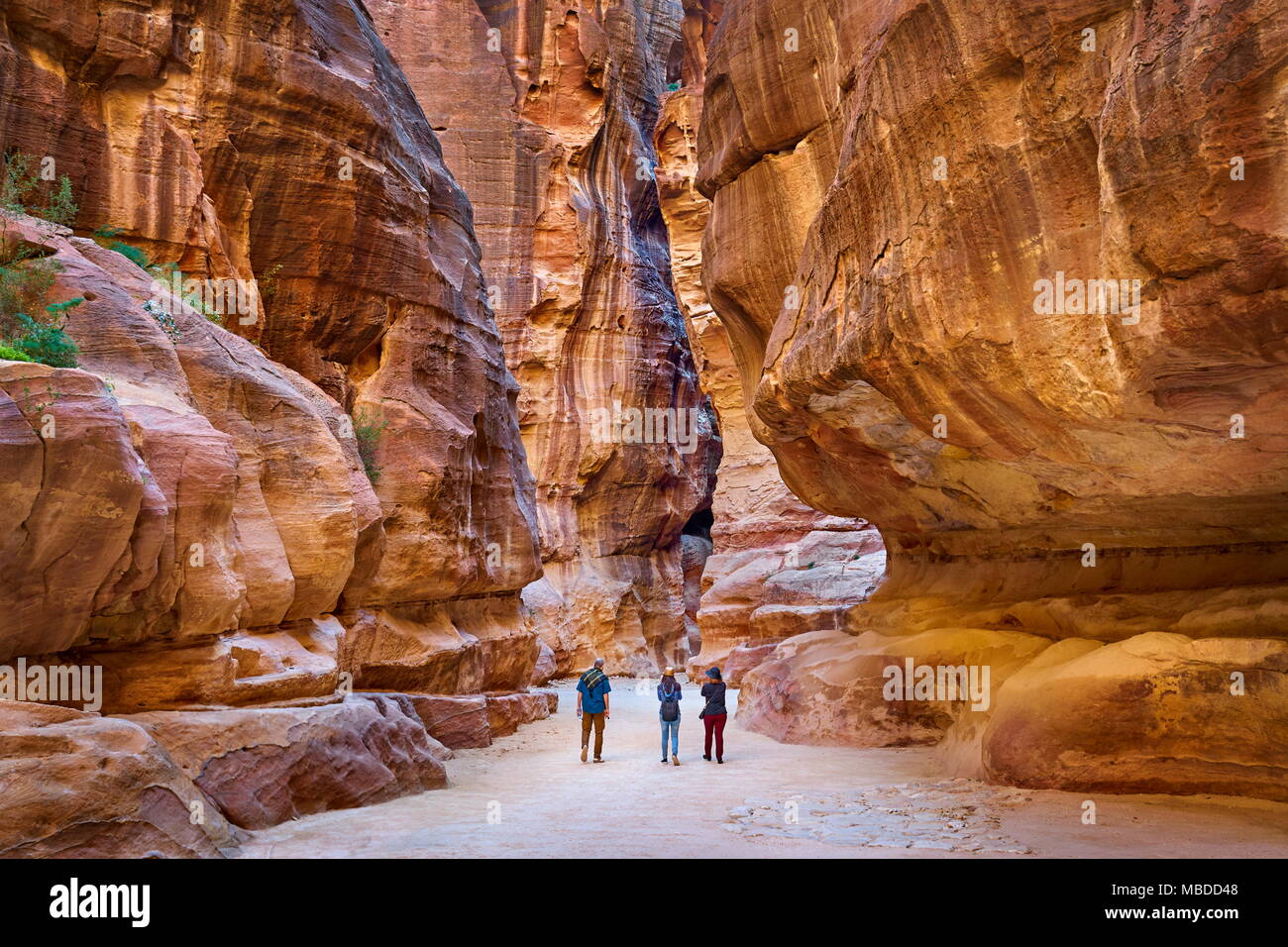 Siq - canyon lungo di Petra in Giordania Foto Stock