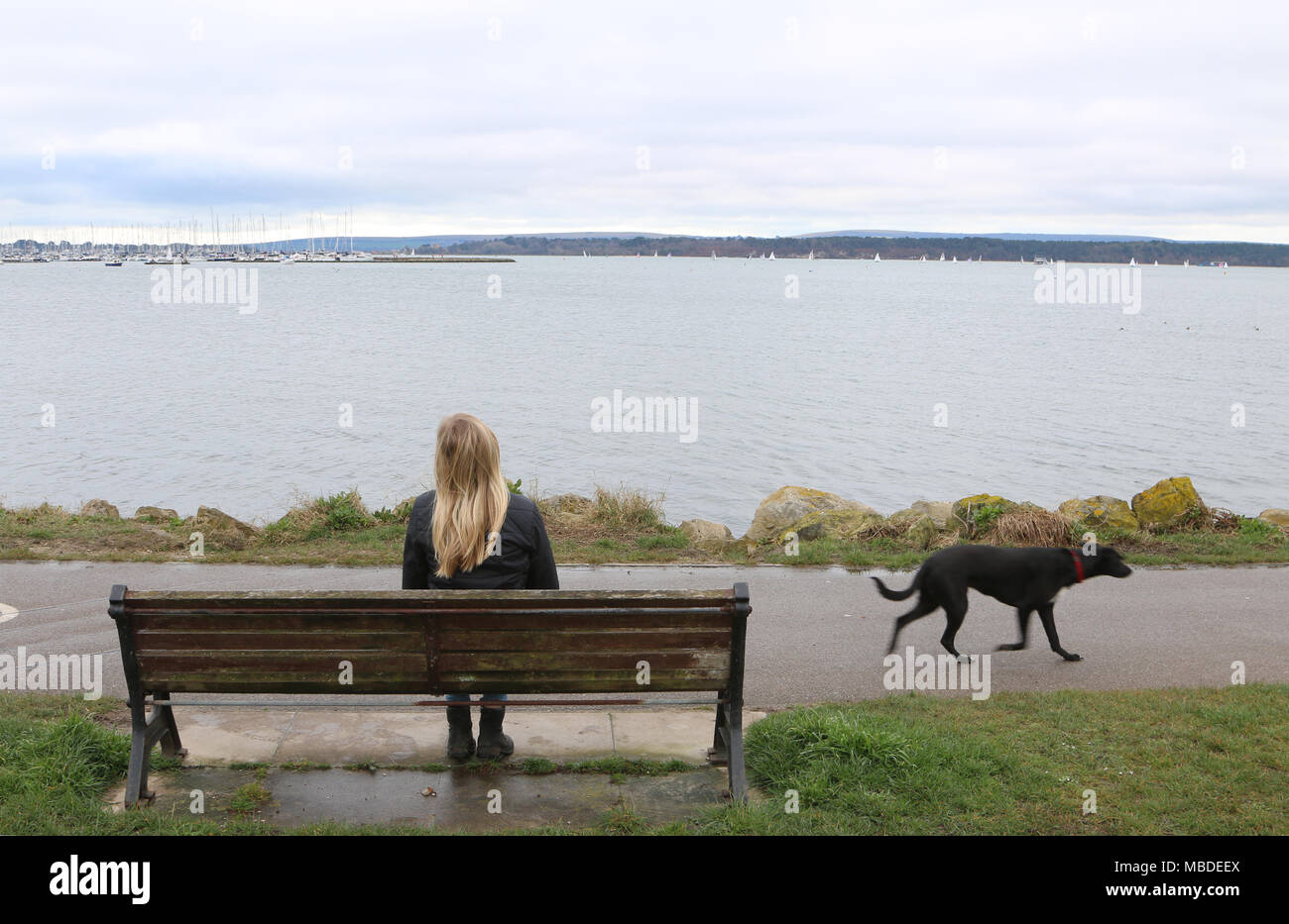 Le ragazze si siede da solo come un cane passato passeggiate in riva al mare Foto Stock