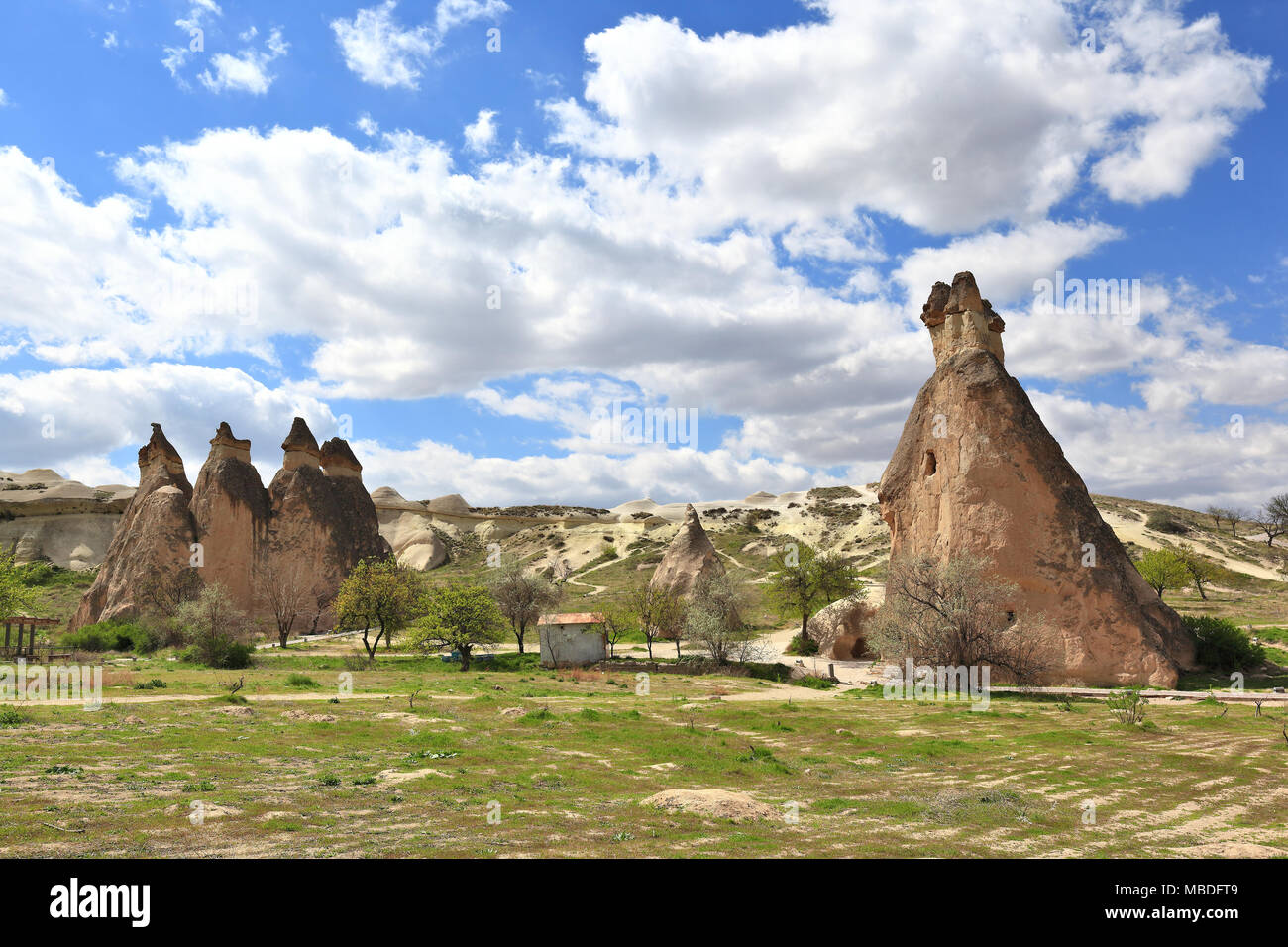 Cappadocia, naturali formazioni di roccia vulcanica nella valle dei monaci, Turchia Foto Stock