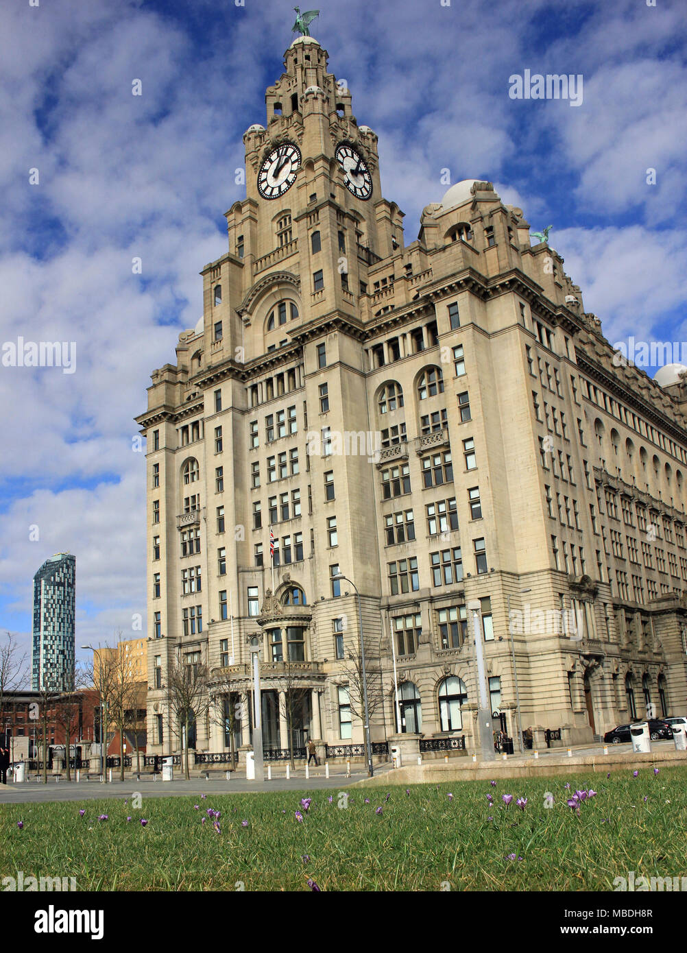Segno della molla sotto soffici nuvole come il fiore di crochi davanti al Royal Liver Building sul lungomare del fiume Mersey in Liverpool Foto Stock