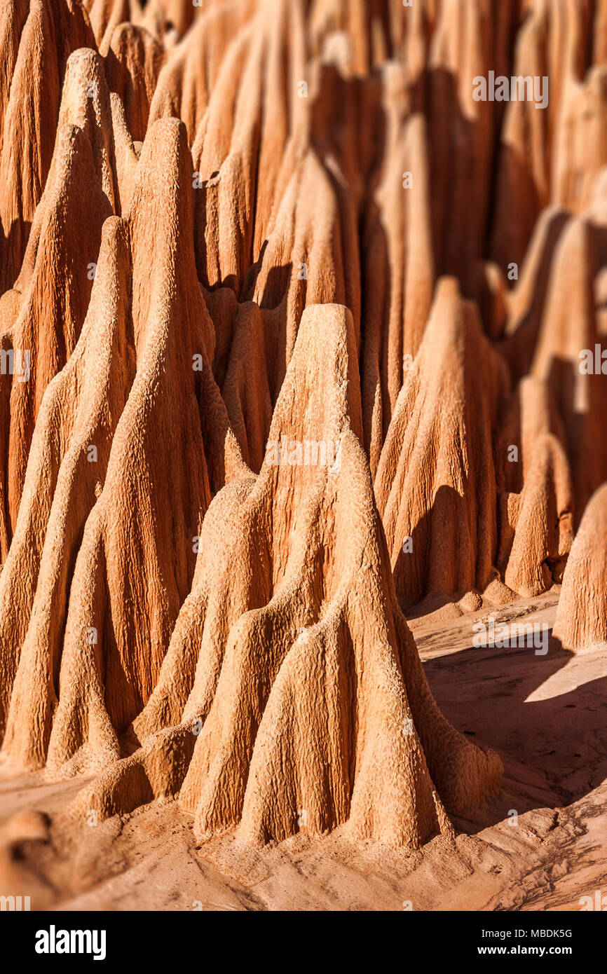Il rosso tsingy di Antsiranana (Diego Suarez), Madagascar. Carsiche naturali di pietra arenaria, marne calcaree e Foto Stock