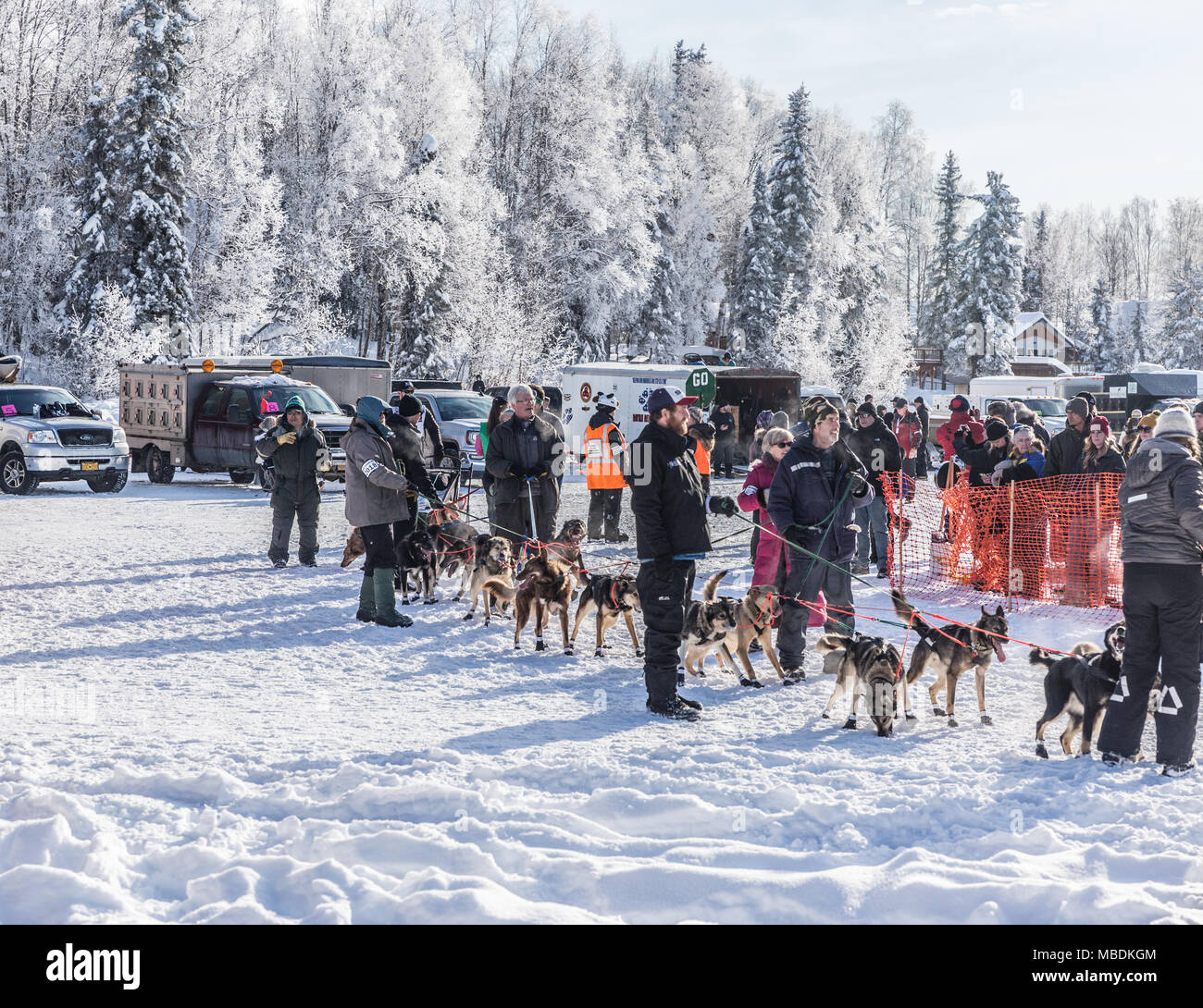 Cane il team si muove alla linea di partenza di Iditarod 2018 Foto Stock