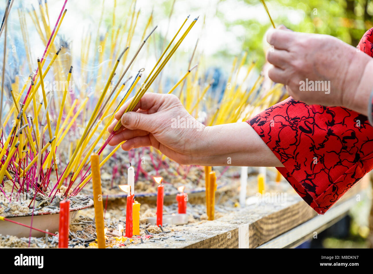 Vista ravvicinata delle mani di una vecchia donna che indossa un stile asiatico camicetta appiccicamento di fumare bastoncini di incenso in una sabbia durante una cerimonia buddista. Foto Stock