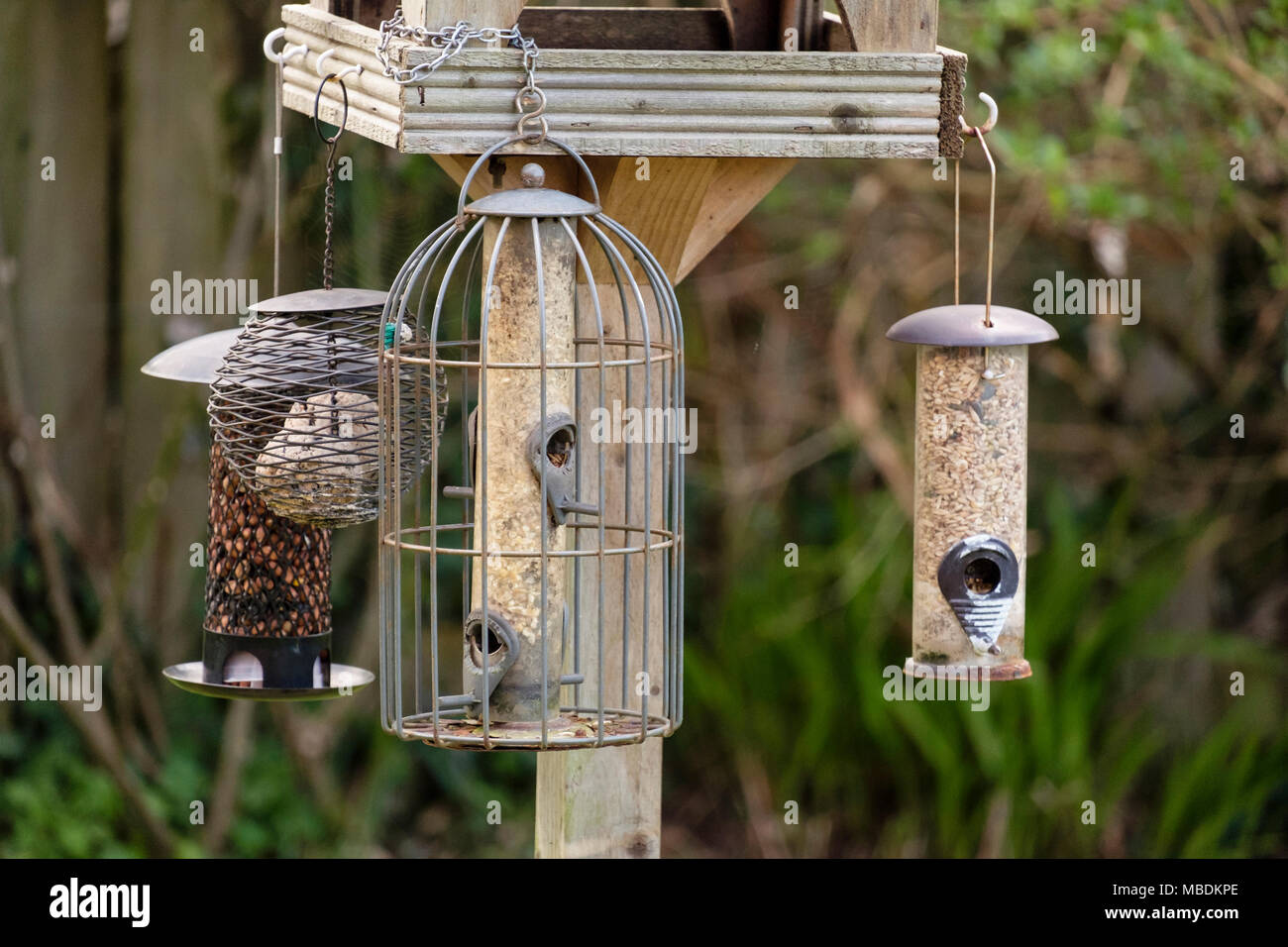 Seme, sfera di grasso e alimentatori di arachidi appesi da un giardino bird tabella. Il Galles, Regno Unito, Gran Bretagna Foto Stock
