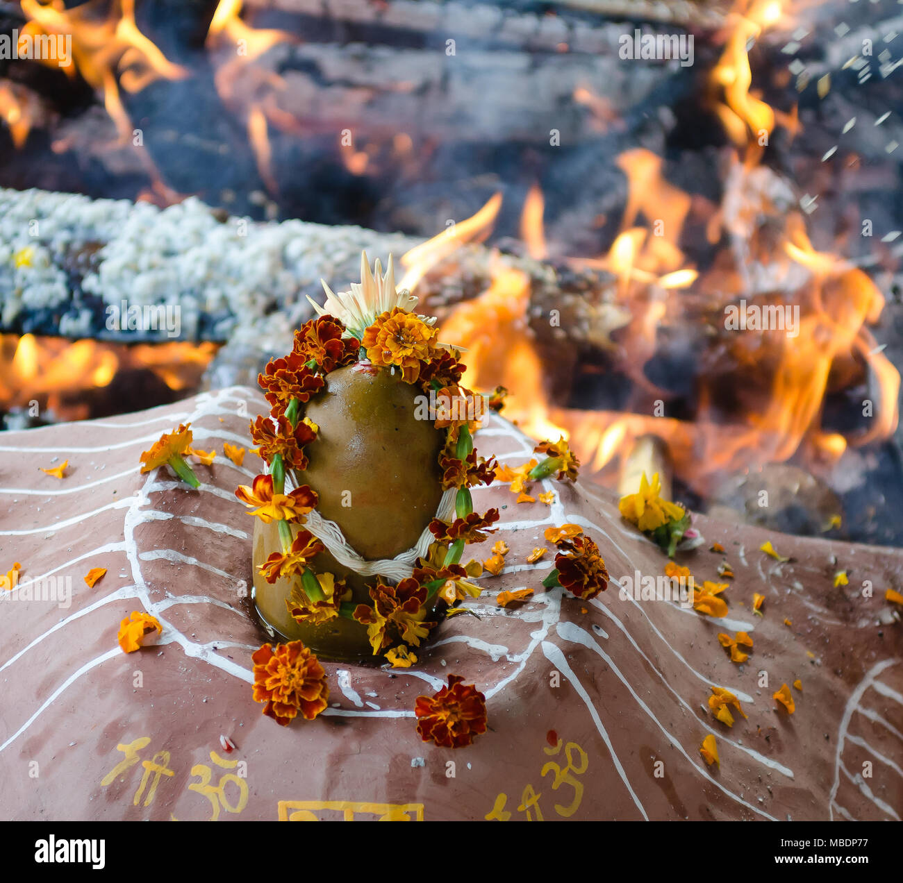 Cerimonia di fuoco con offre solo di origine vegetale durante il Guru purnima Foto Stock
