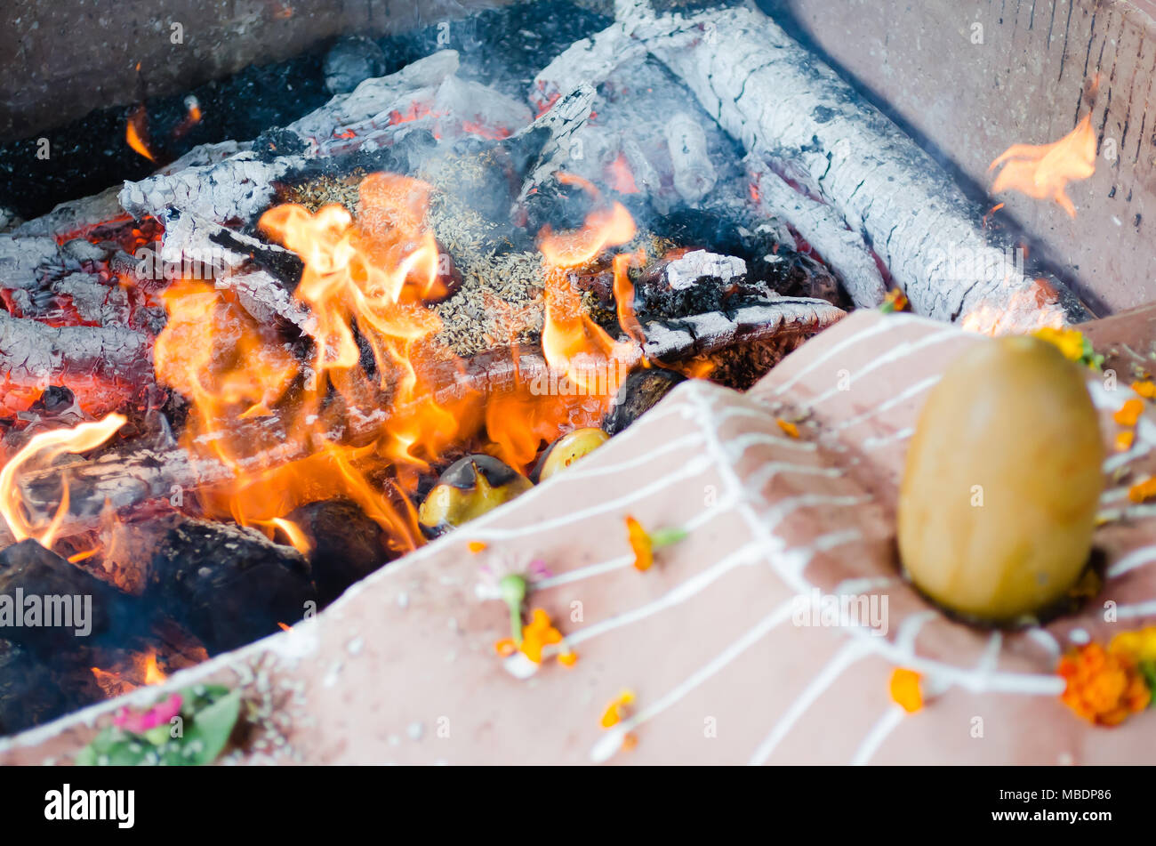 Cerimonia di fuoco con offre solo di origine vegetale durante il Guru purnima Foto Stock