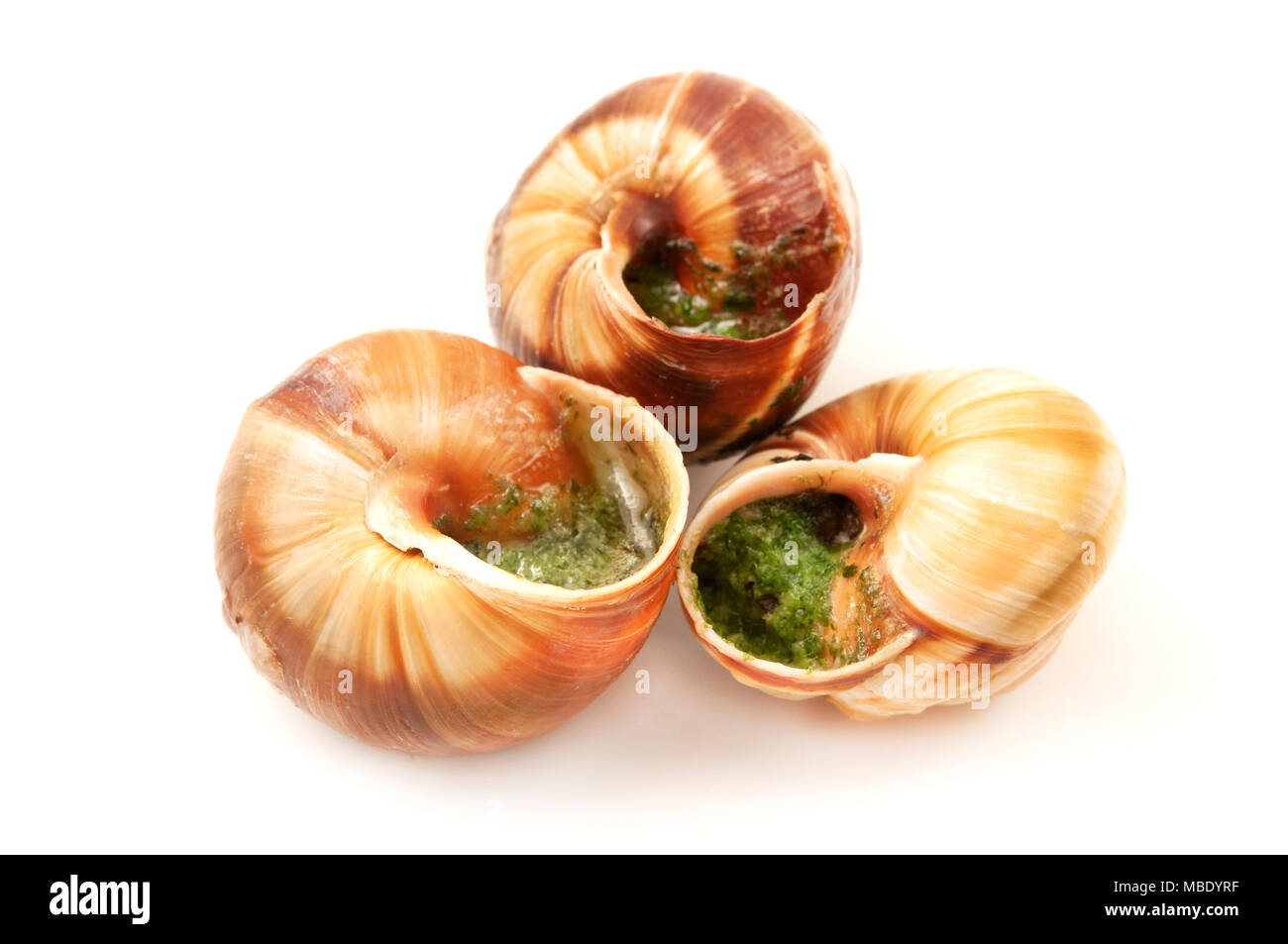 Escargots a la Bourguignonne (lumache in burro all'aglio) su uno sfondo bianco Foto Stock