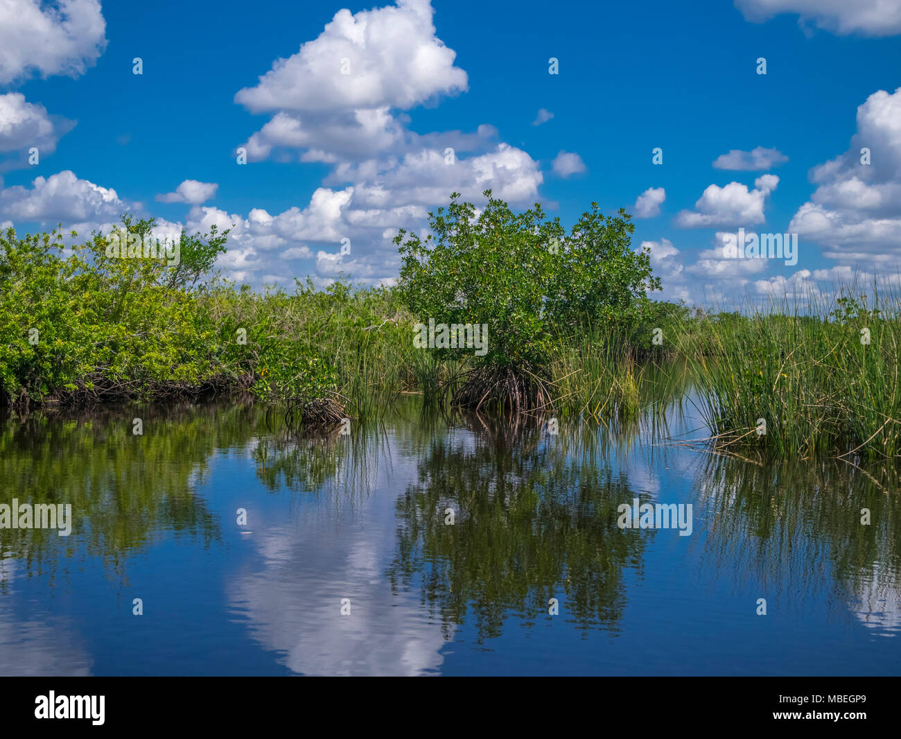 Giornata estiva con cielo blu e nuvole bianche sul Fiume di pace nel sud-ovest della Florida Foto Stock