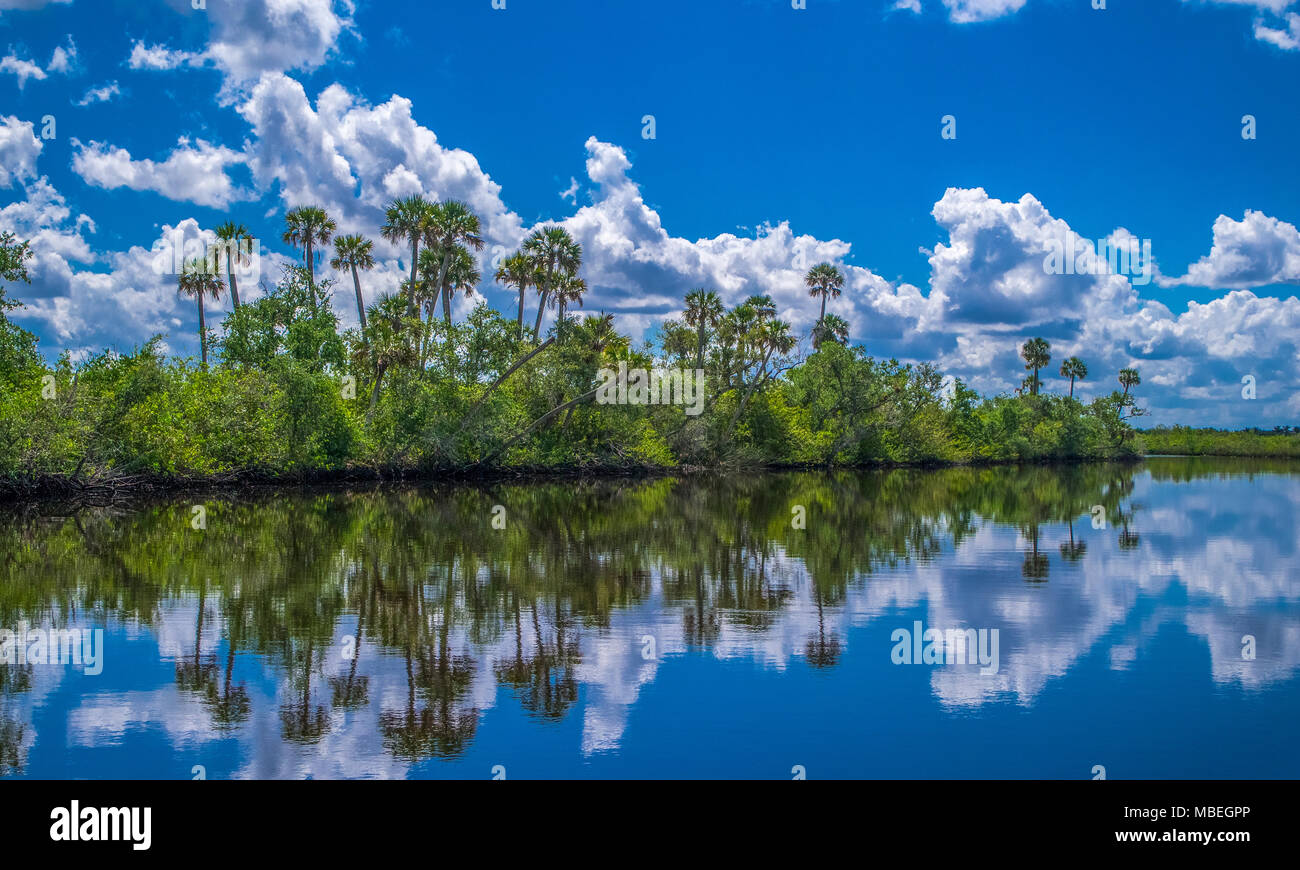 Giornata estiva con cielo blu e nuvole bianche sul Fiume di pace nel sud-ovest della Florida Foto Stock