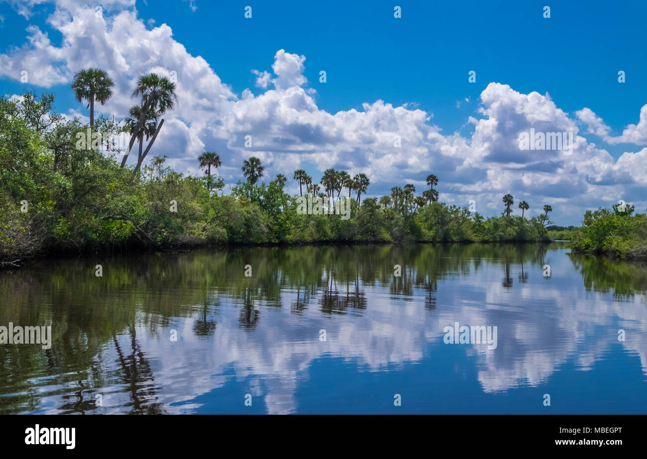 Giornata estiva con cielo blu e nuvole bianche sul Fiume di pace nel sud-ovest della Florida Foto Stock