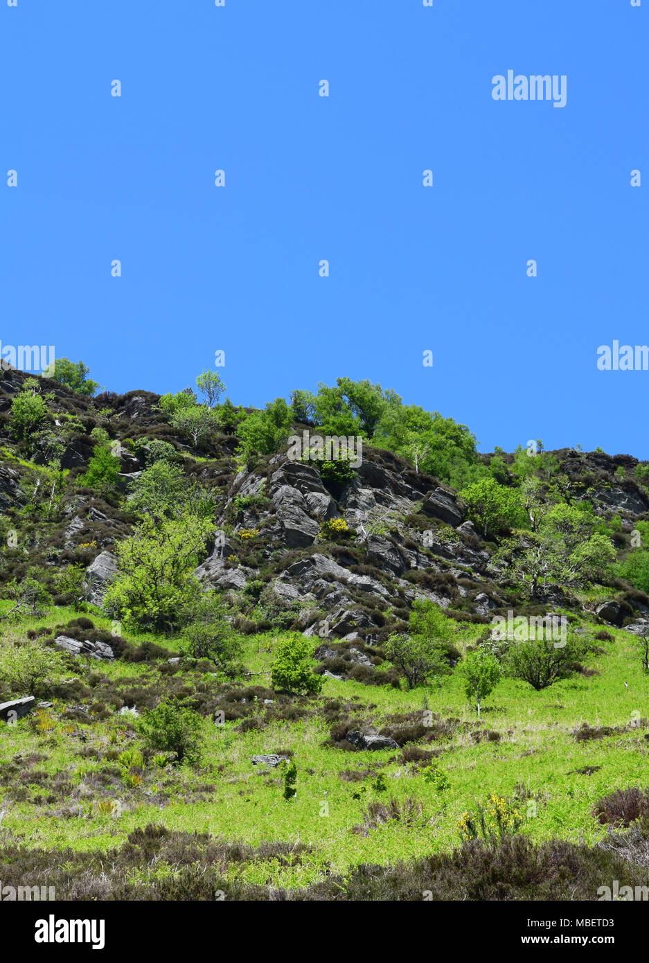 Rocky Hill nel Elan Valley in una giornata di sole Foto Stock