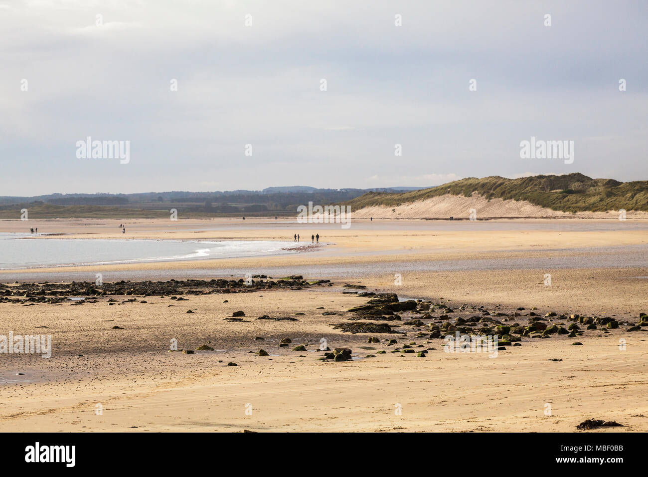 Spiaggia Bamburgh guardando verso Seahouses lungo la costa di Northumberland in Engand REGNO UNITO Foto Stock