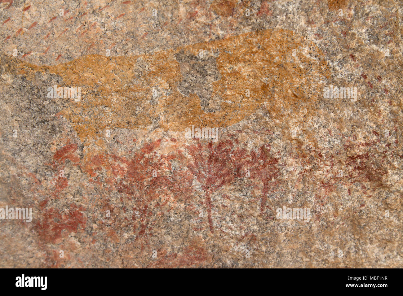 Antica arte rupestre a Matobo National Park in Zimbabwe. Il dipinto raffigura un animale e alberi. Foto Stock