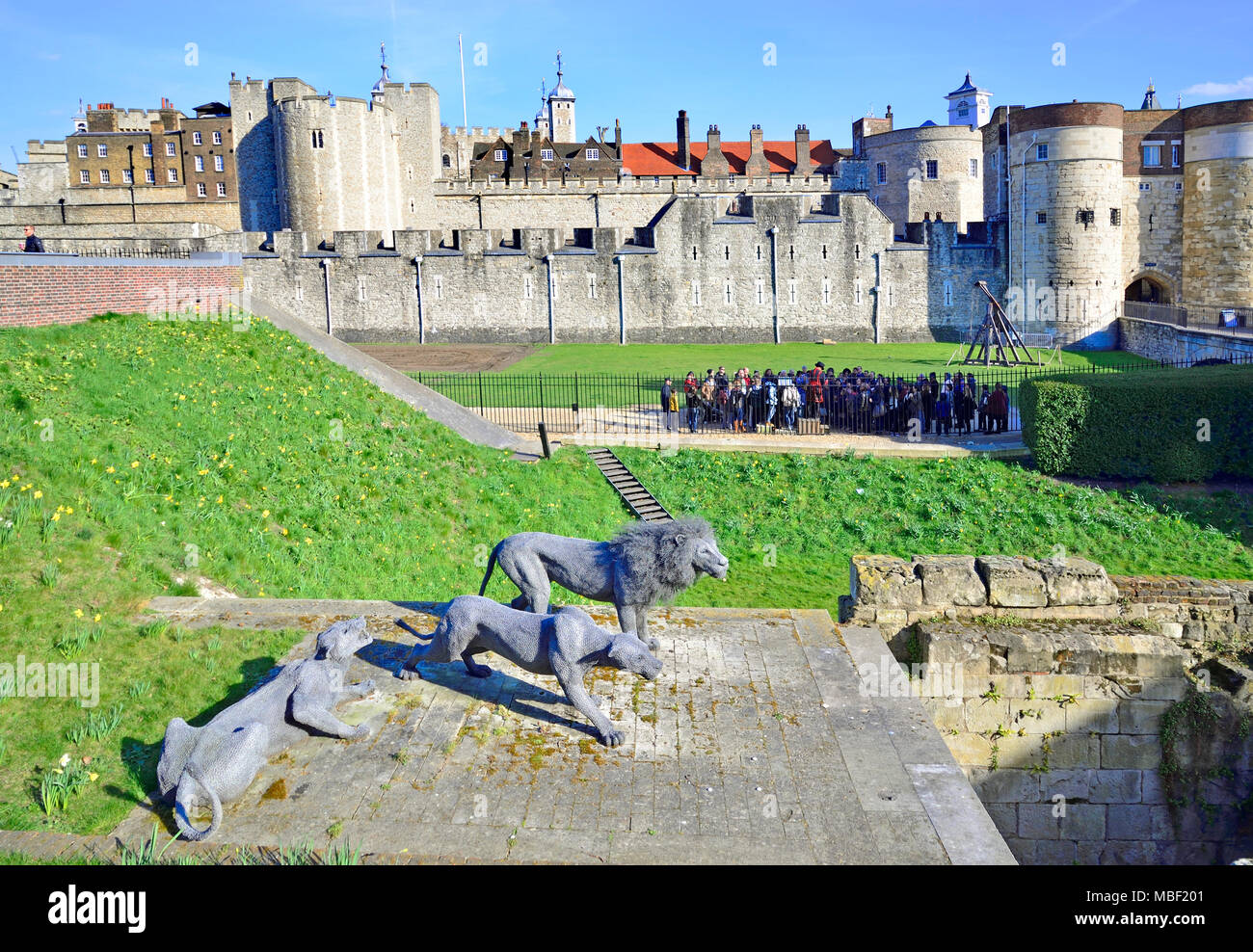 Londra, Inghilterra, Regno Unito. Torre di Londra (11th-14thC) 3 Lions wire mesh scultura (2011) da Kendra la fretta della società di artisti della fauna selvatica Foto Stock