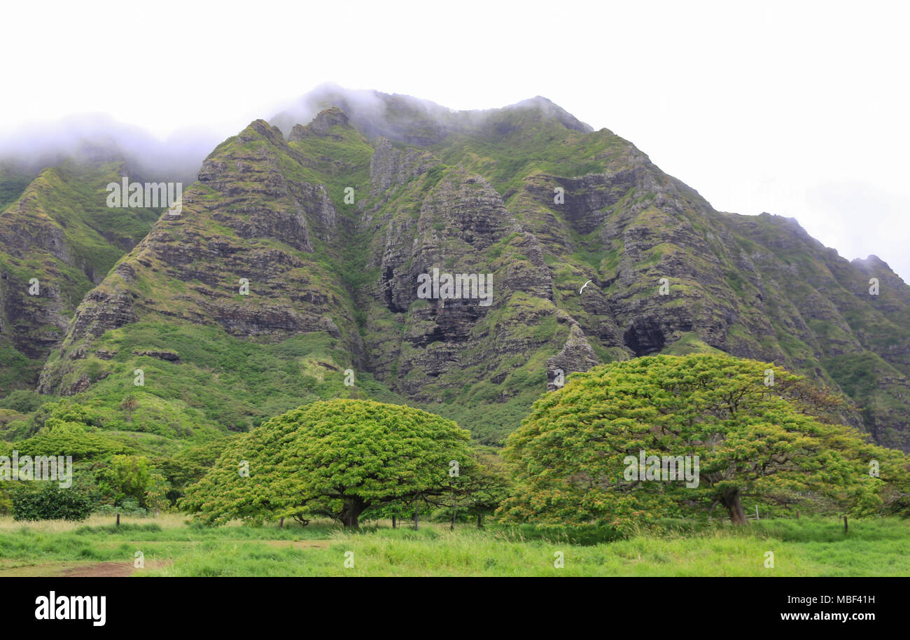 Una magnifica vista di Kualoa Ranch, Hawaii Foto Stock