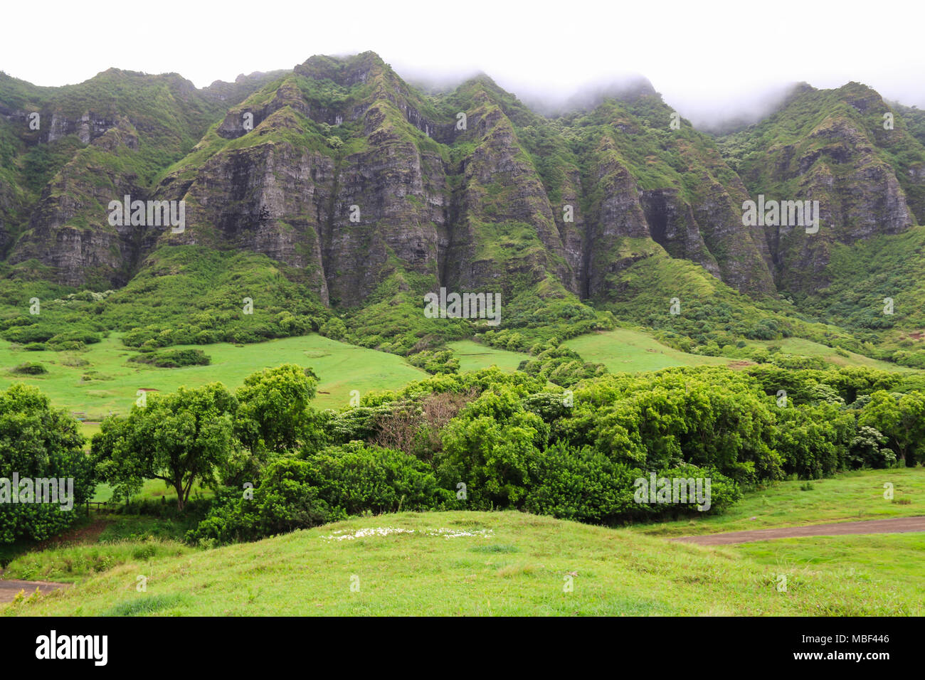 Una magnifica vista di Kualoa Ranch, Hawaii Foto Stock
